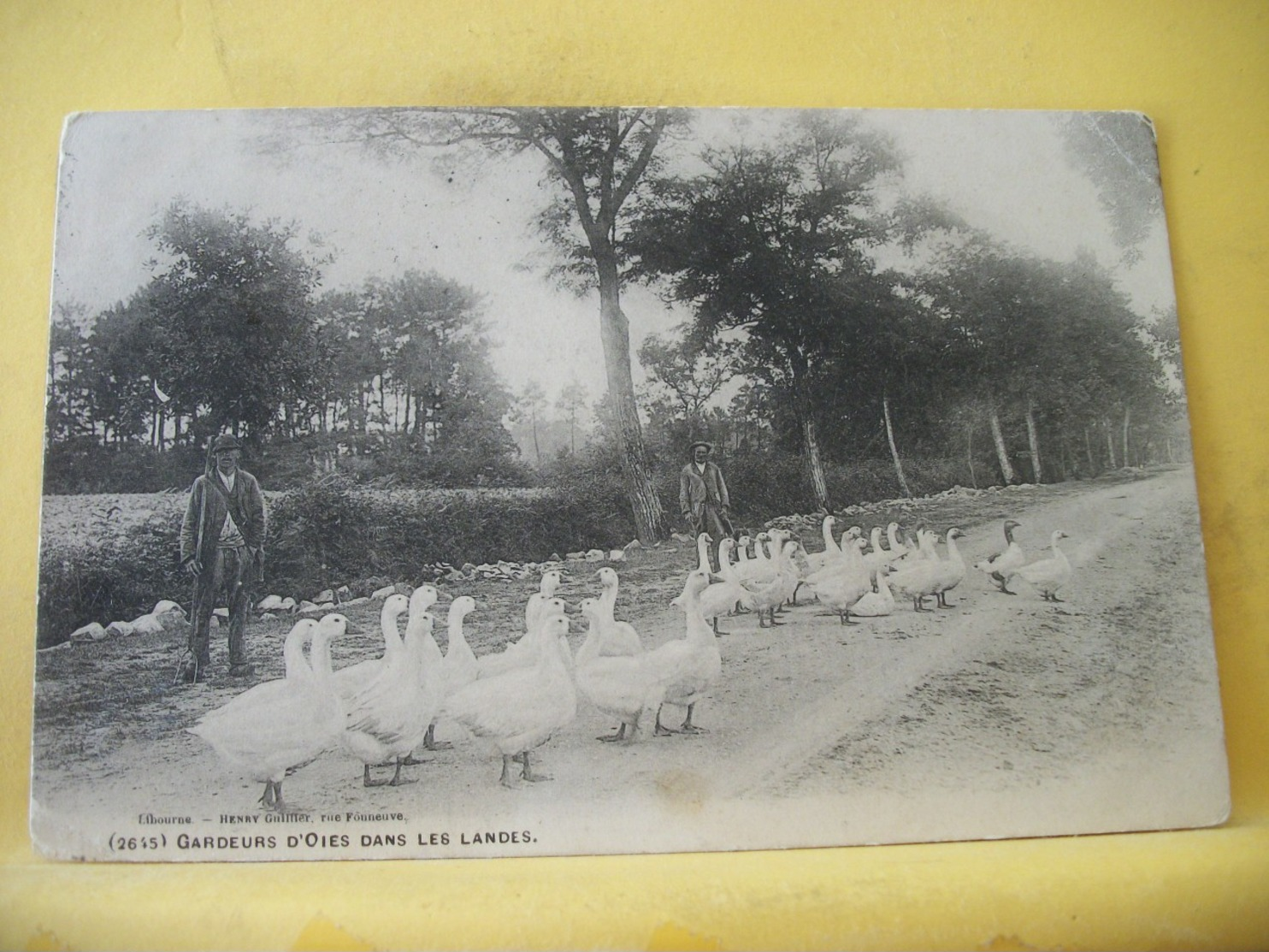 L13 9895 CPA 1906 - 40 GARDEURS D'OIES DANS LES LANDES - ANIMATION - Other & Unclassified