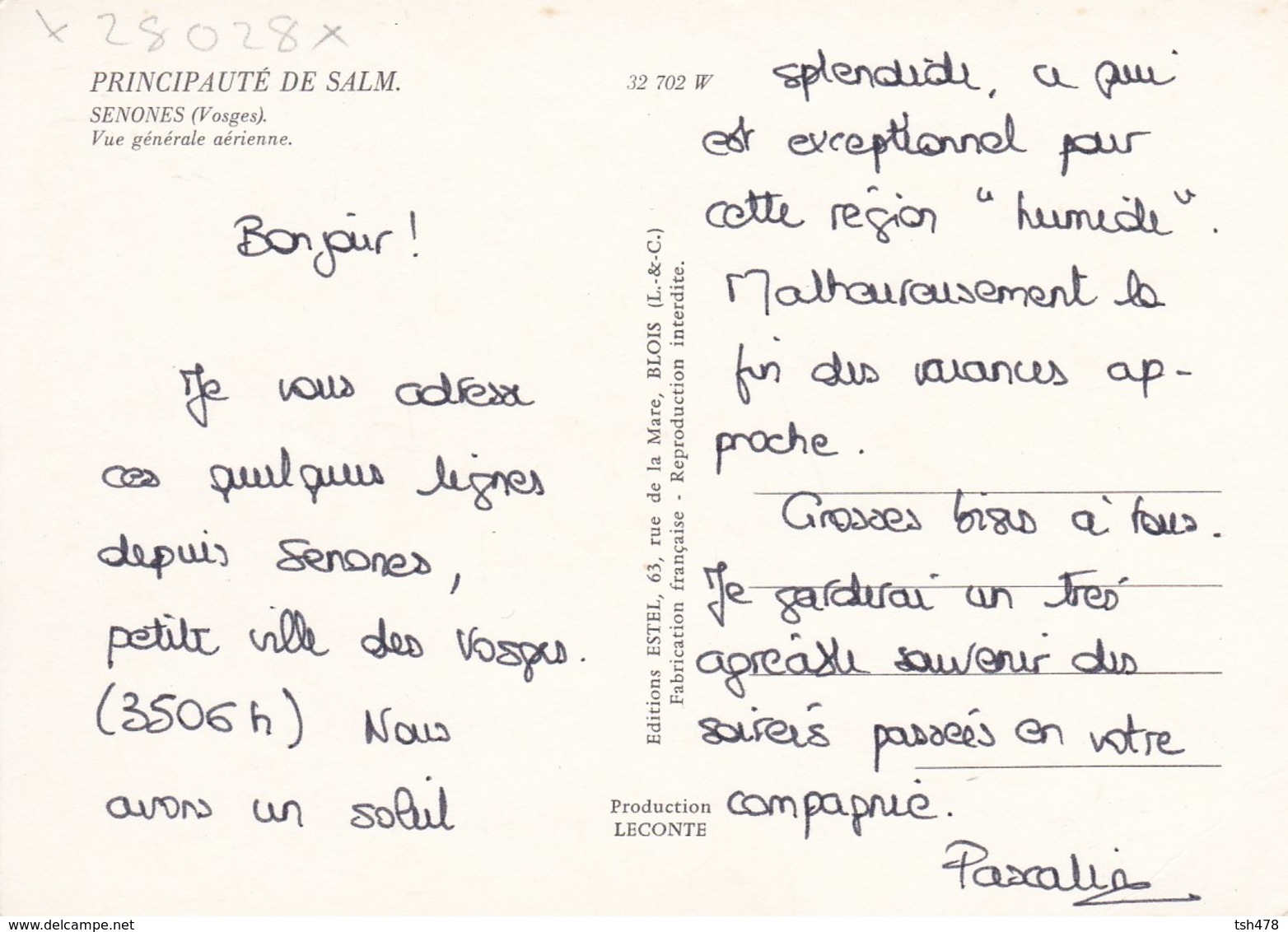 88----SEMONES--vue Générale Aérienne--principauté De SALM--voir  2 Scans - Senones