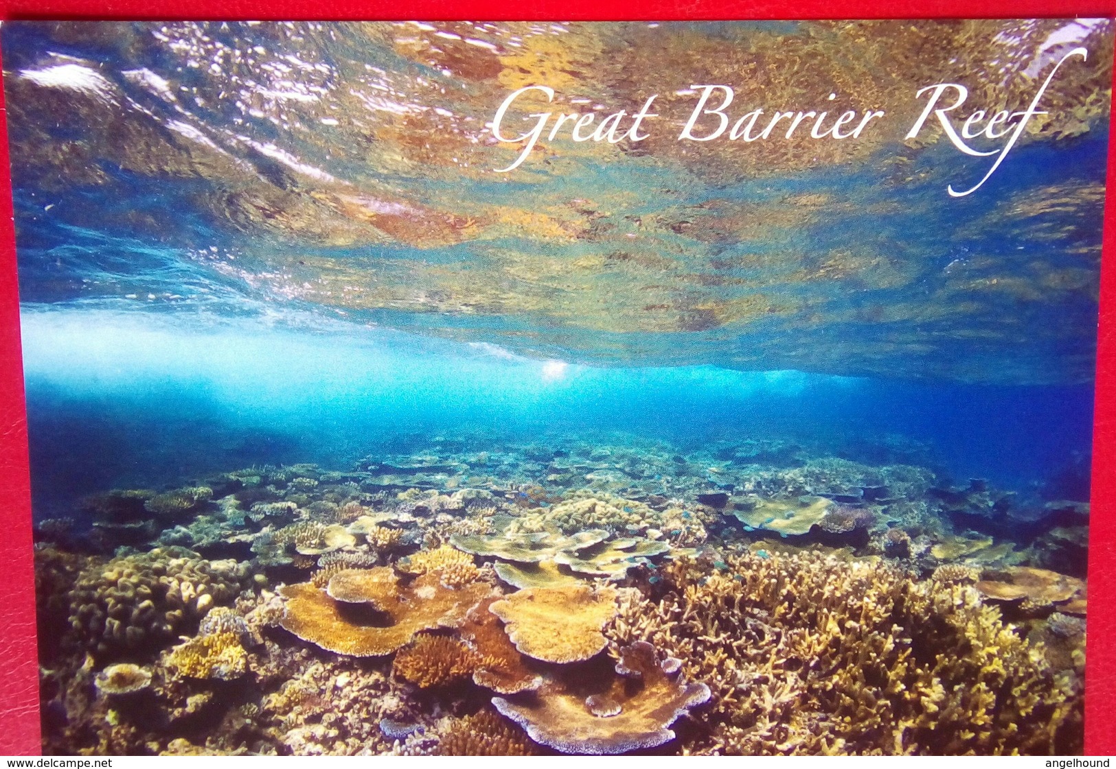 Great Barrier Reef - Great Barrier Reef