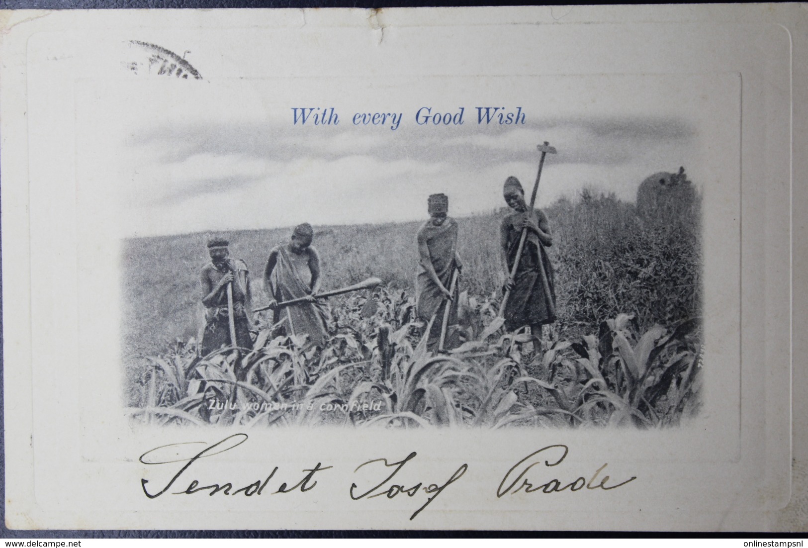 Transvaal Postcard JEPPESTOWN -> JOHANNESBURG  23-12-1903  Zulu Farm - Transvaal (1870-1909)