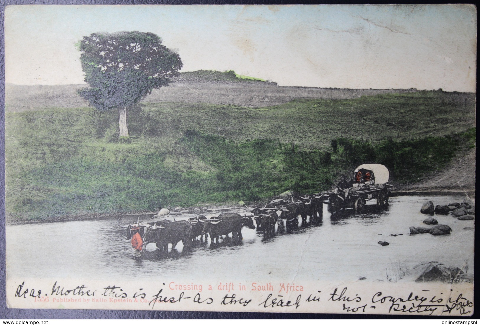POSTCARD POTCHEFSTROOM -> UK 30-10-1905 CROSSING A DRIFT - Lettres & Documents