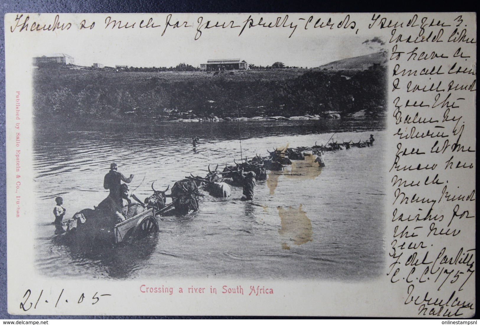 NATAL POSTCARD VERULAM -> BRUSSELS 1905  Rivercrossing - Natal (1857-1909)