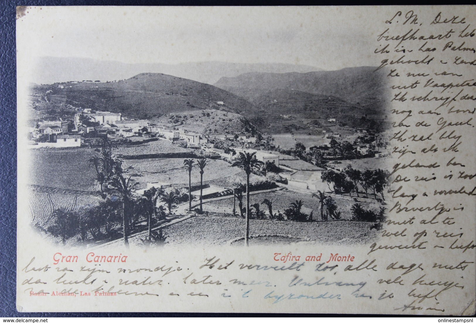 CAPE OF GOOD HOPE POSTCARD FROM MADEIRA NEWIAM -> AMSTERDAM 20-3-1901 - Kaap De Goede Hoop (1853-1904)