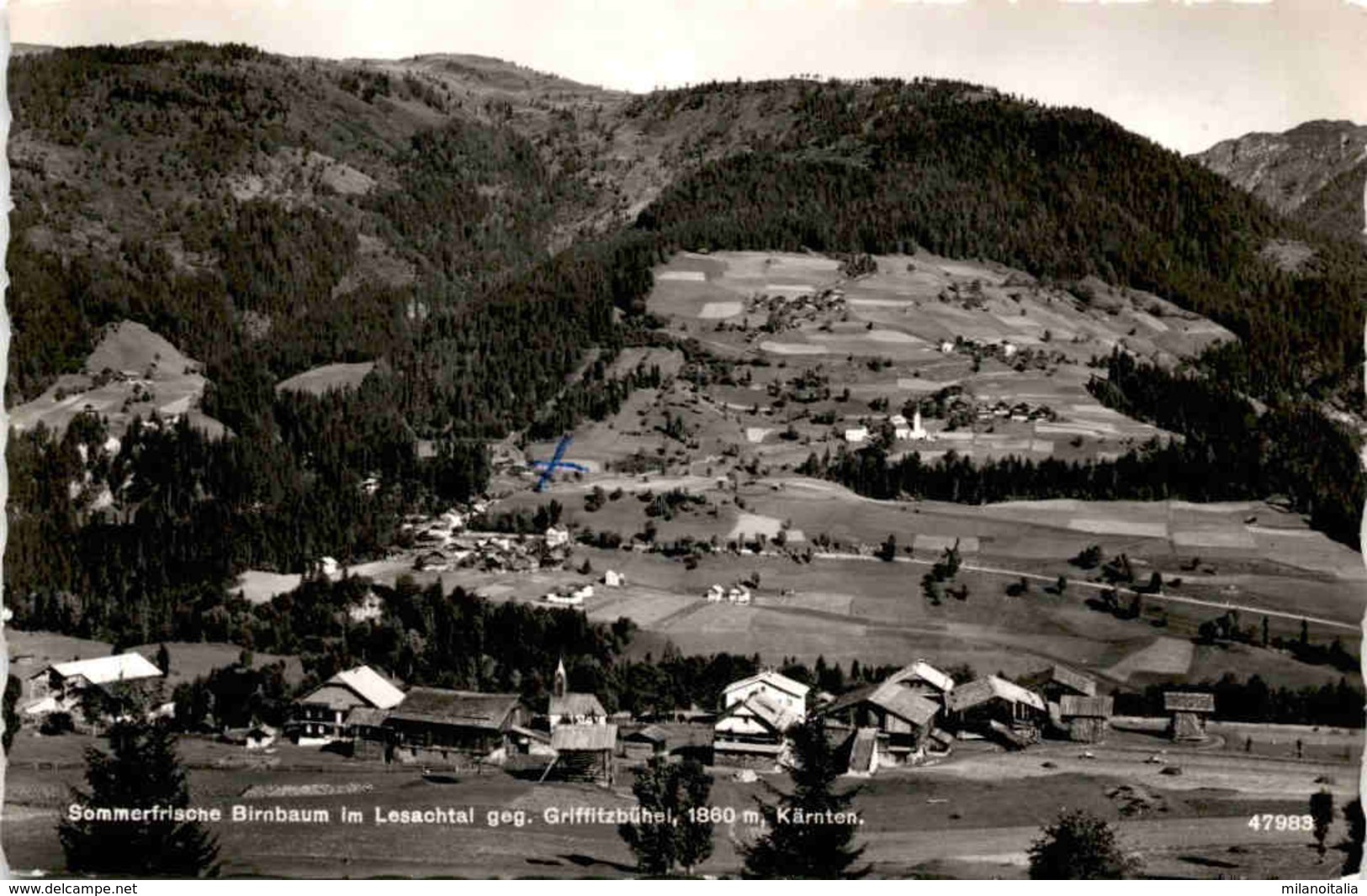 Sommerfrische Birnbaum Im Lesachtal Gegen Griffitzbühel, Kärnten (47983) * 31. 5. 1958 - Lesachtal