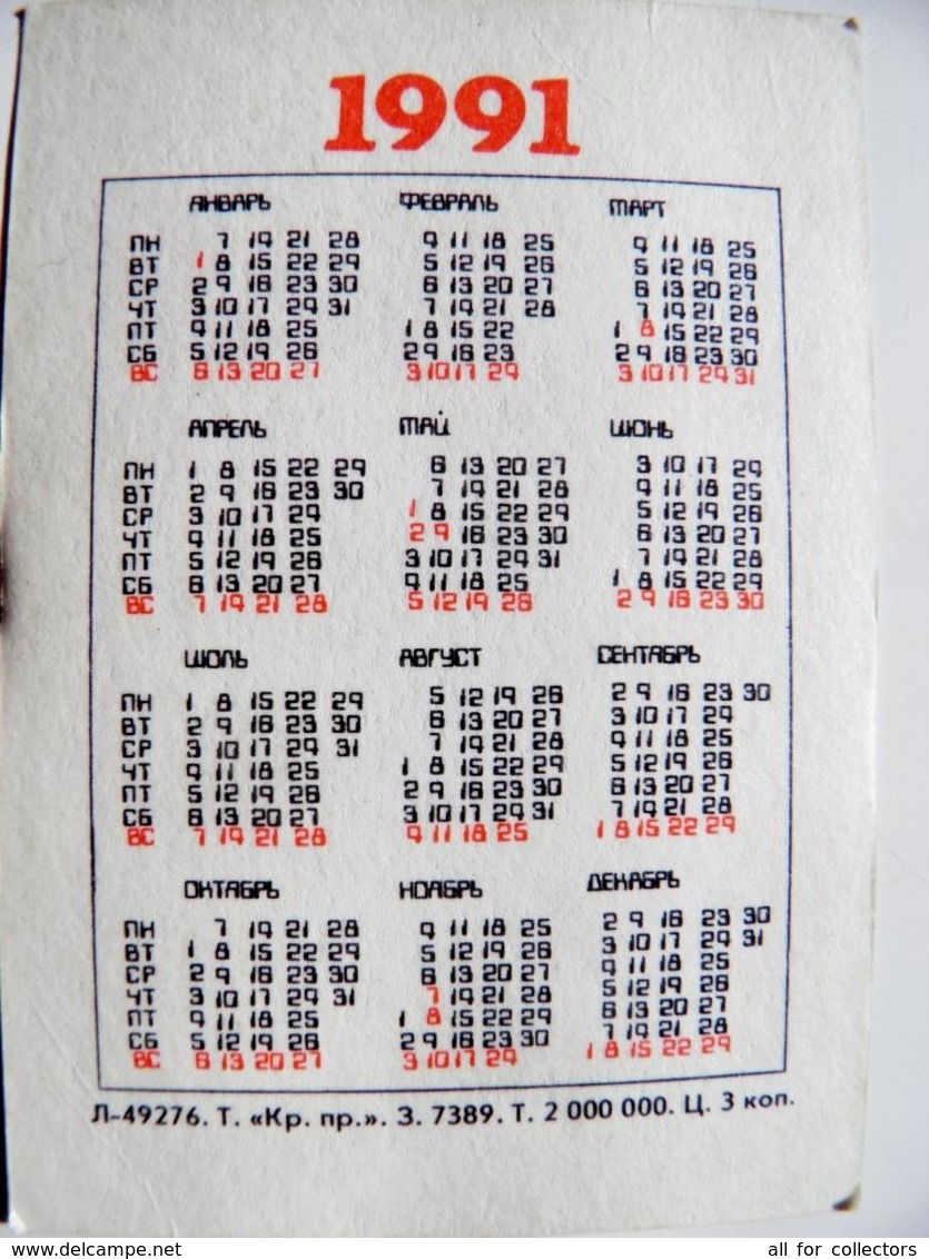 Small Calendar Pocket 1991 Year From Ussr  Fairy Tale - Kleinformat : 1991-00