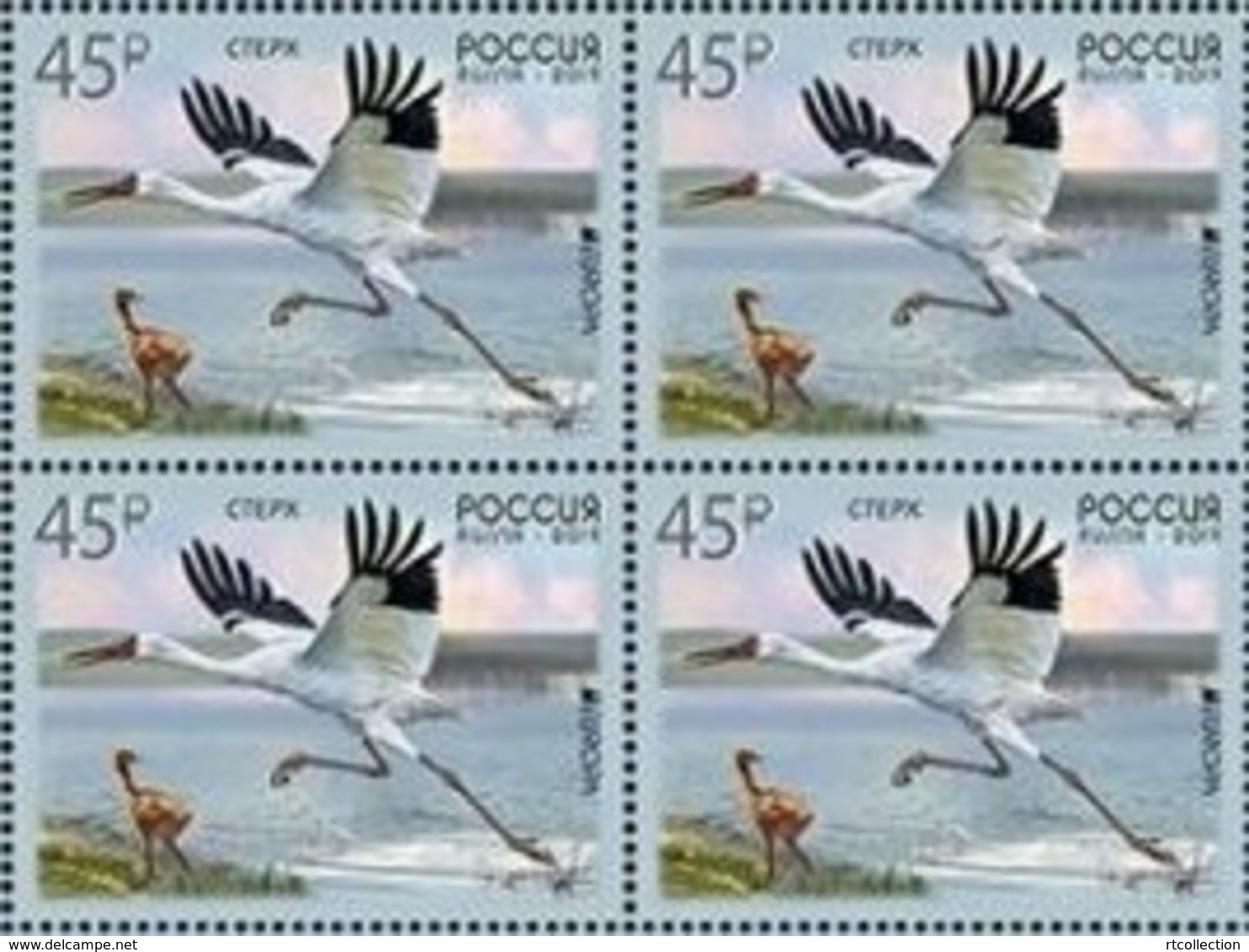 Russia 2019 - Block National Bird Siberian Crane Europa CEPT Animal Nature Fauna Birds Cranes Stamps MNH - 2019