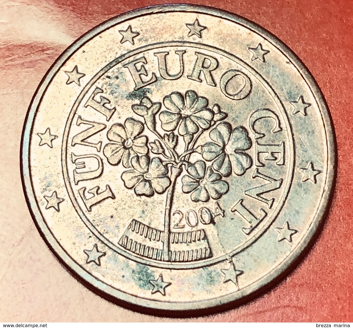 AUSTRIA - 2004 - Moneta - Primula Di Montagna - Euro - 0.05 - Austria