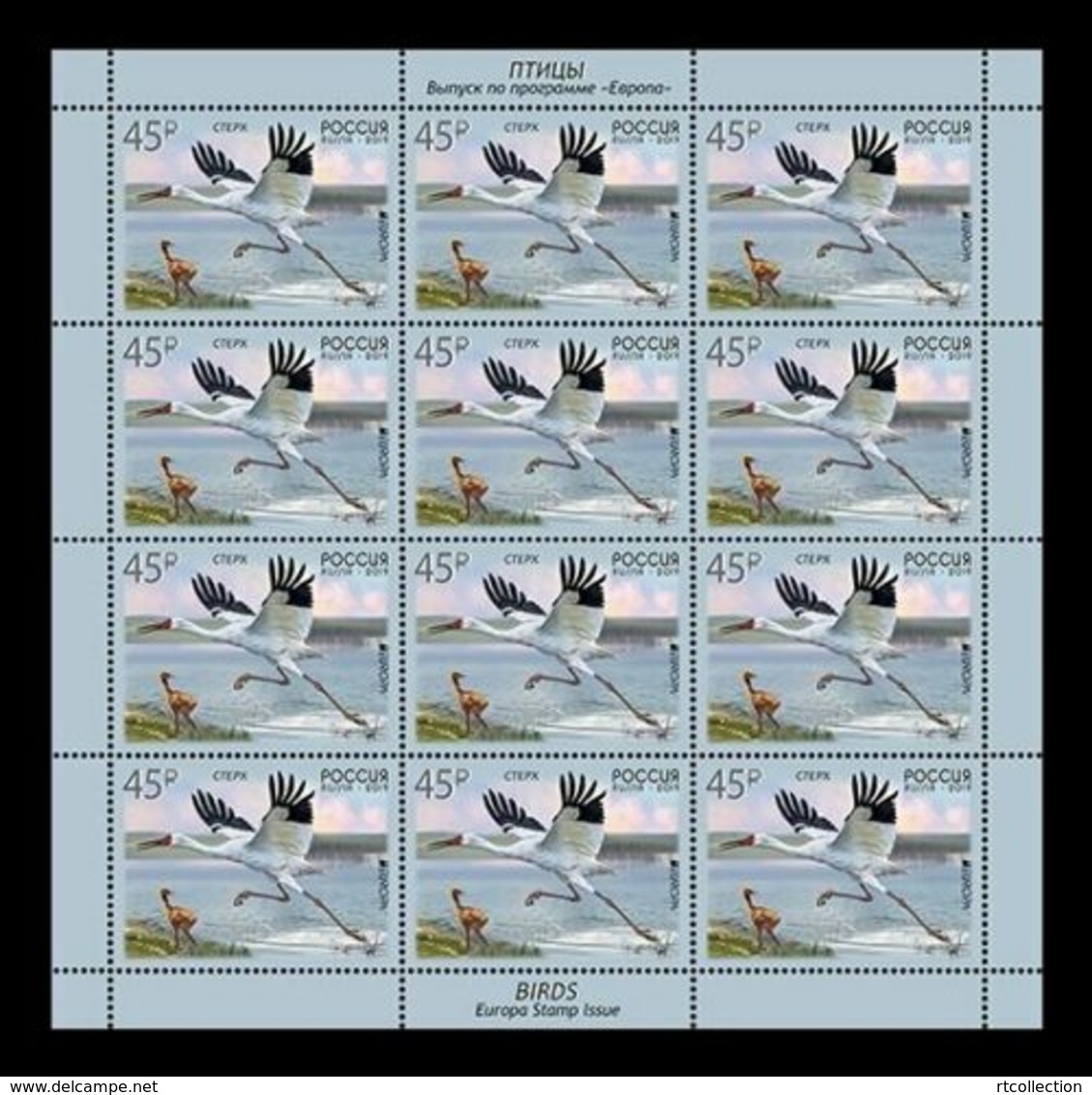 Russia 2019 - Full Sheet National Bird Siberian Crane Europa CEPT Animal Nature Fauna Birds Cranes Stamps MNH - 2019