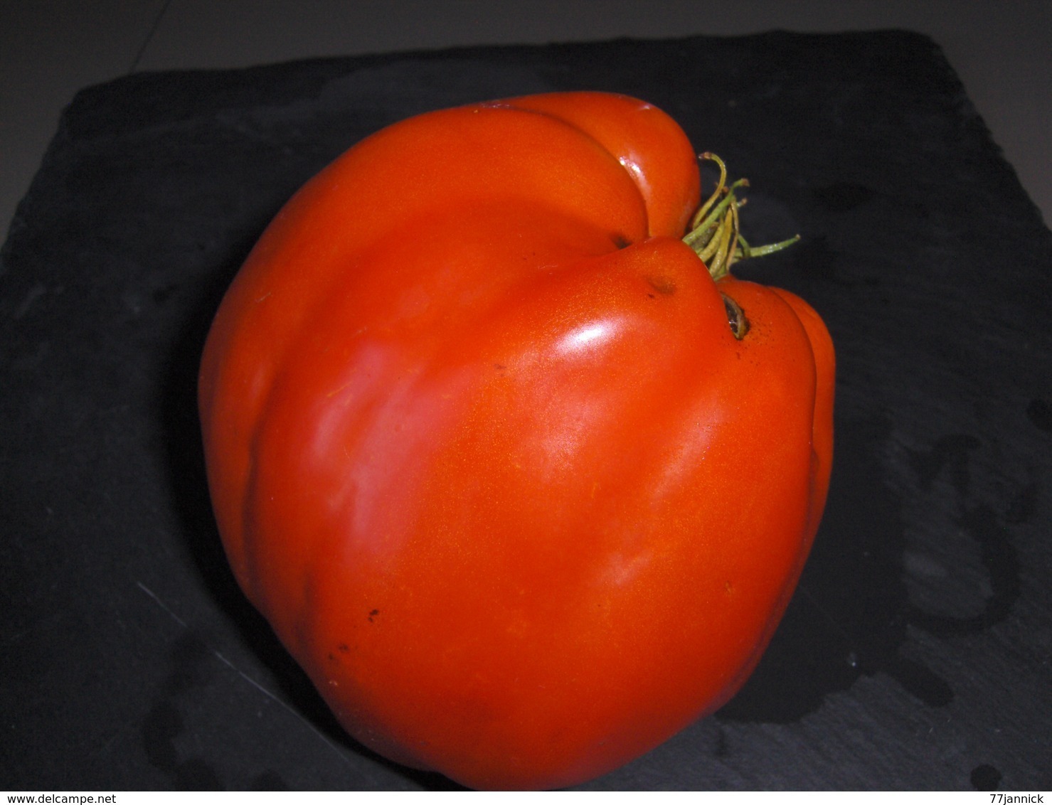 30 Graines Tomates COEUR DE BOEUF BIO - Other & Unclassified