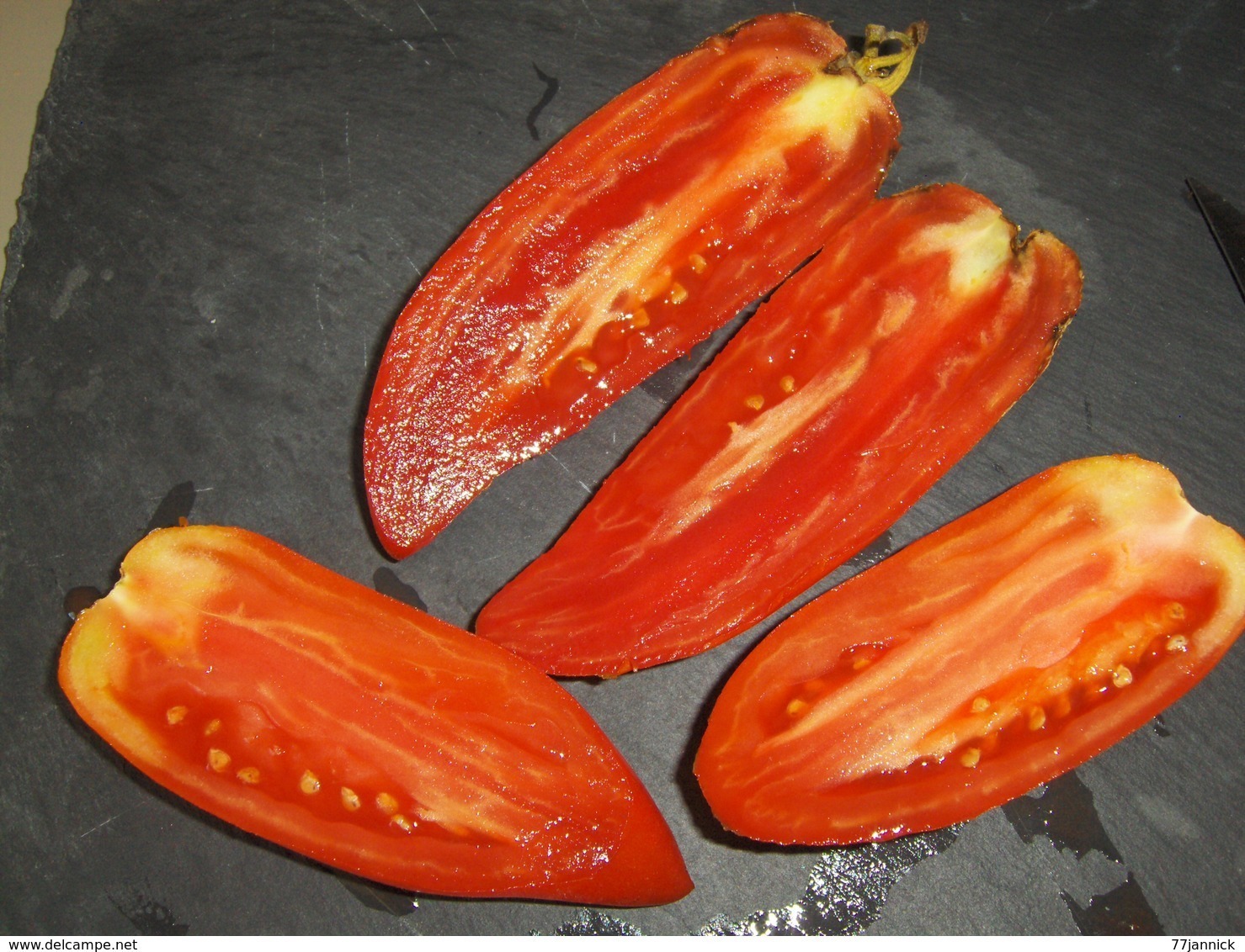 30 Graines Tomates ANDINE CORNUE OU POIVRON DES ANDES BIO - Other & Unclassified