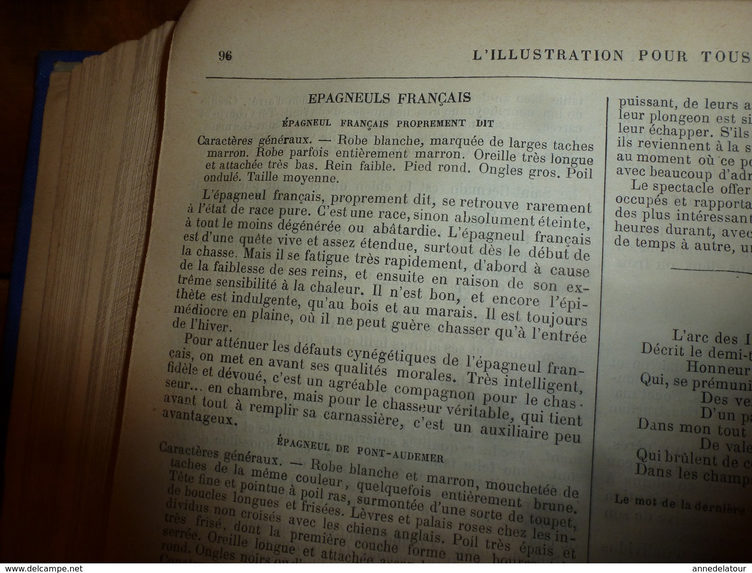 Rare 1882-83 :L'ILLUSTRATION POUR TOUS > Effets du hachiche;Les chiens d'arrêt;Duguesclin;Jeanne d'Arc;Sorcellerie; etc