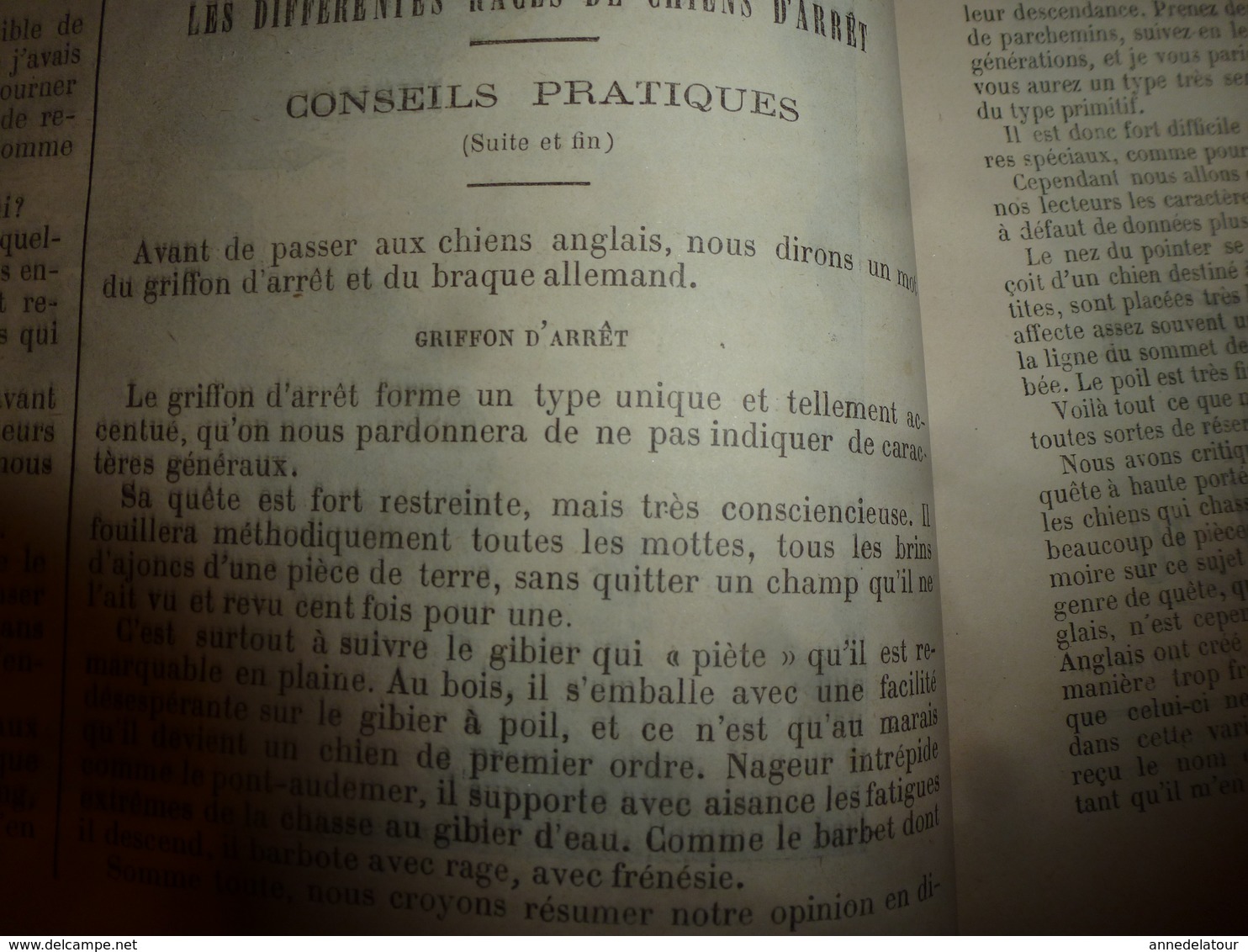 Rare 1882-83 :L'ILLUSTRATION POUR TOUS > Effets du hachiche;Les chiens d'arrêt;Duguesclin;Jeanne d'Arc;Sorcellerie; etc