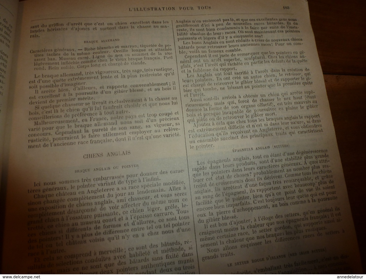 Rare 1882-83 :L'ILLUSTRATION POUR TOUS > Effets du hachiche;Les chiens d'arrêt;Duguesclin;Jeanne d'Arc;Sorcellerie; etc