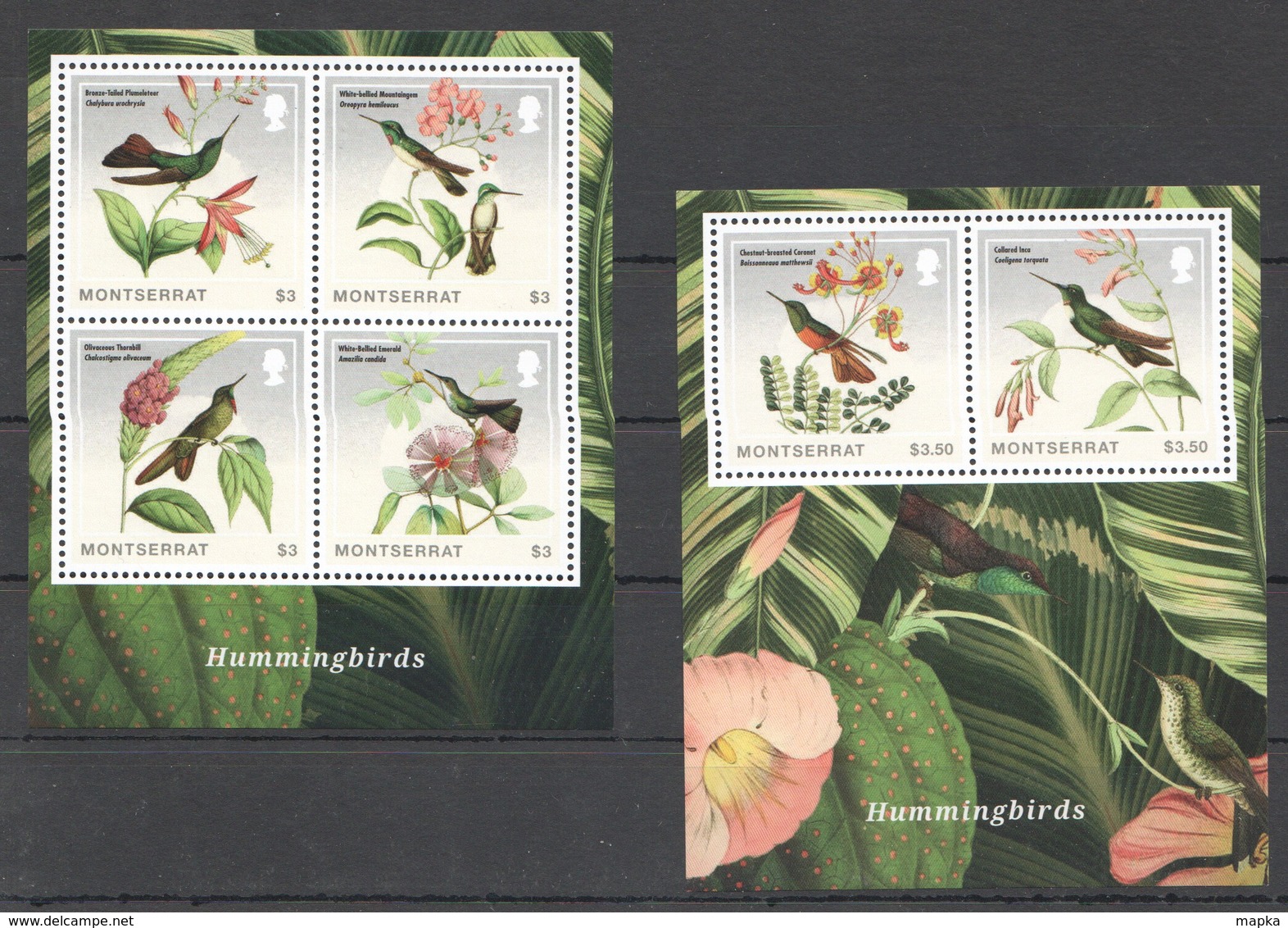 SS192 2014 MONTSERRAT HUMMINGBIRDS PLANTS FLORA 1BL+1KB MNH - Colibris