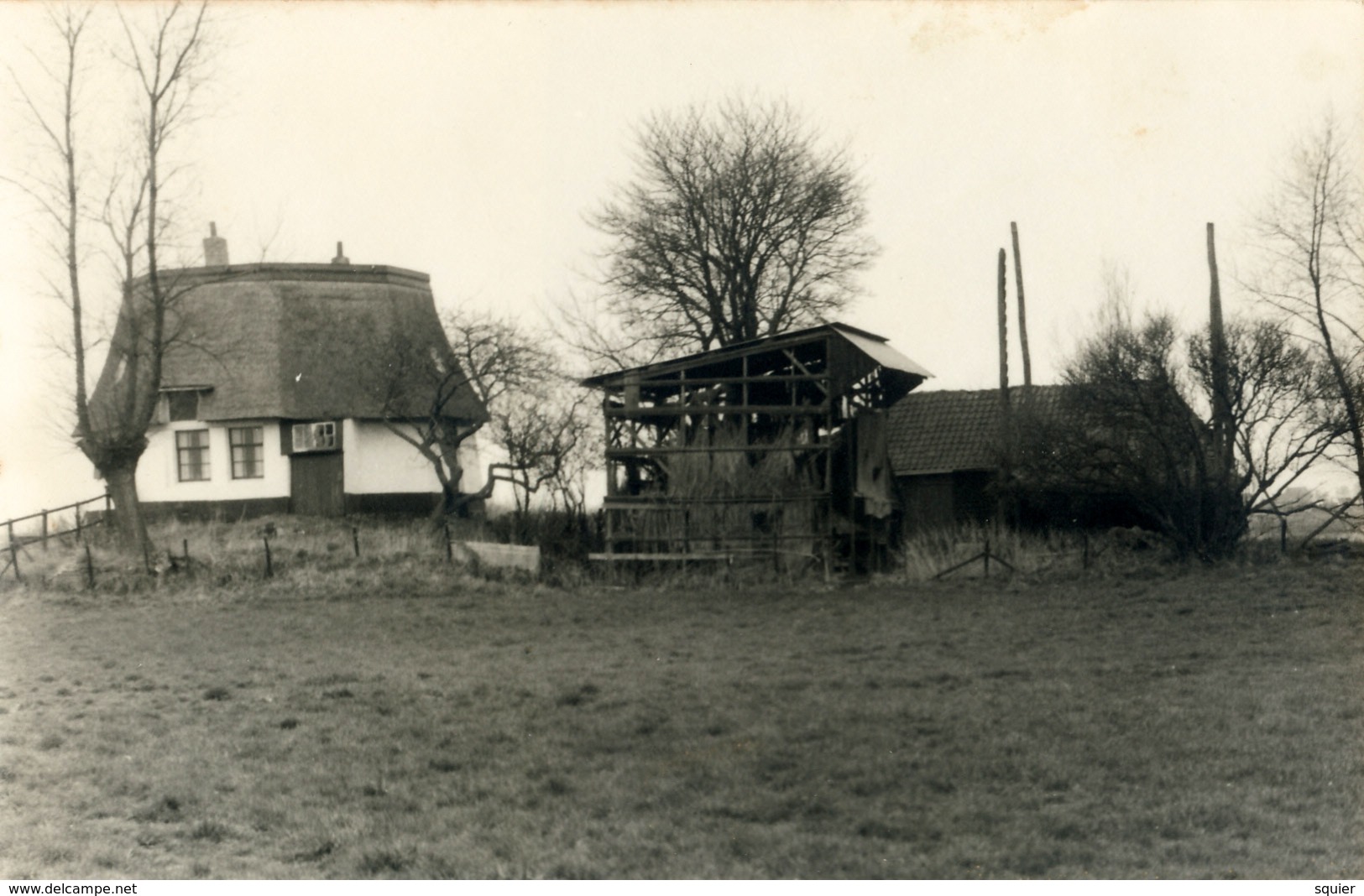 Bergschenhoek, Breggemolen Landkant, Windmill, Afgeknotte Molen, Real Photo - Windmolens