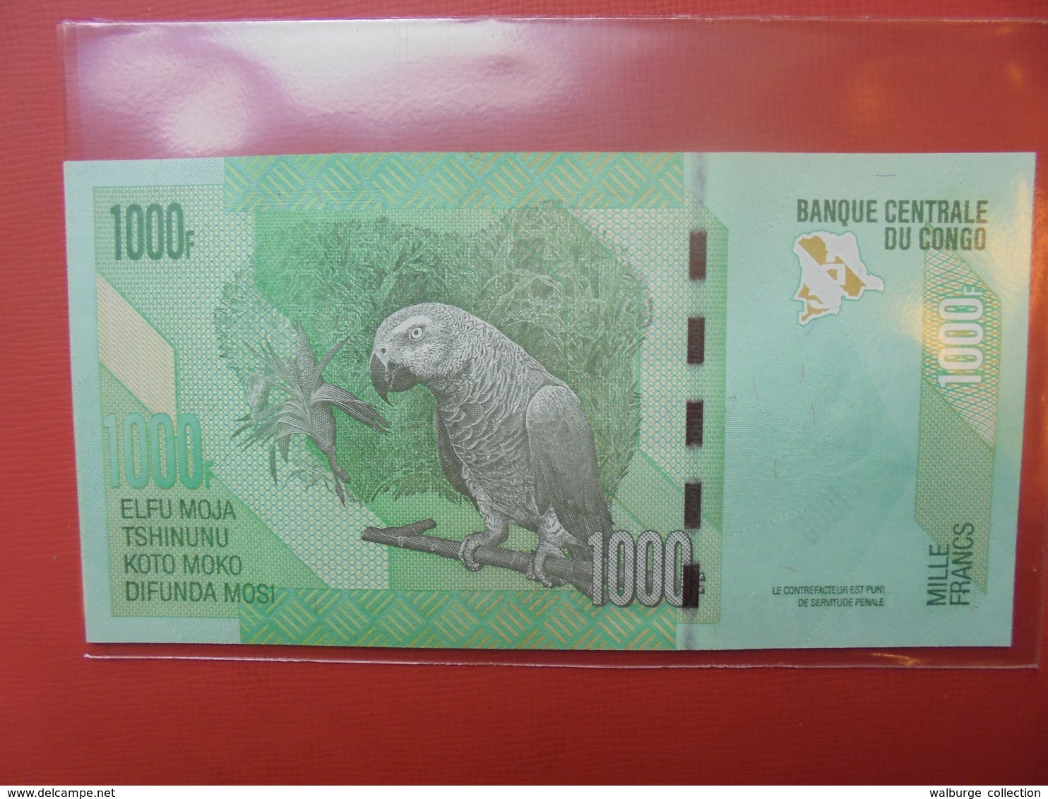 CONGO 1000 FRANCS 2005 PEU CIRCULER/NEUF - République Du Congo (Congo-Brazzaville)