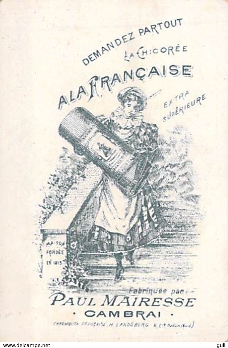 Images-Chromos > Chromo  Chicorée A LA FRANCAISE Paul MAIRESSE CAMBRAI Chromolith. Française H. Landsberg & Cie, Halluin - Autres & Non Classés