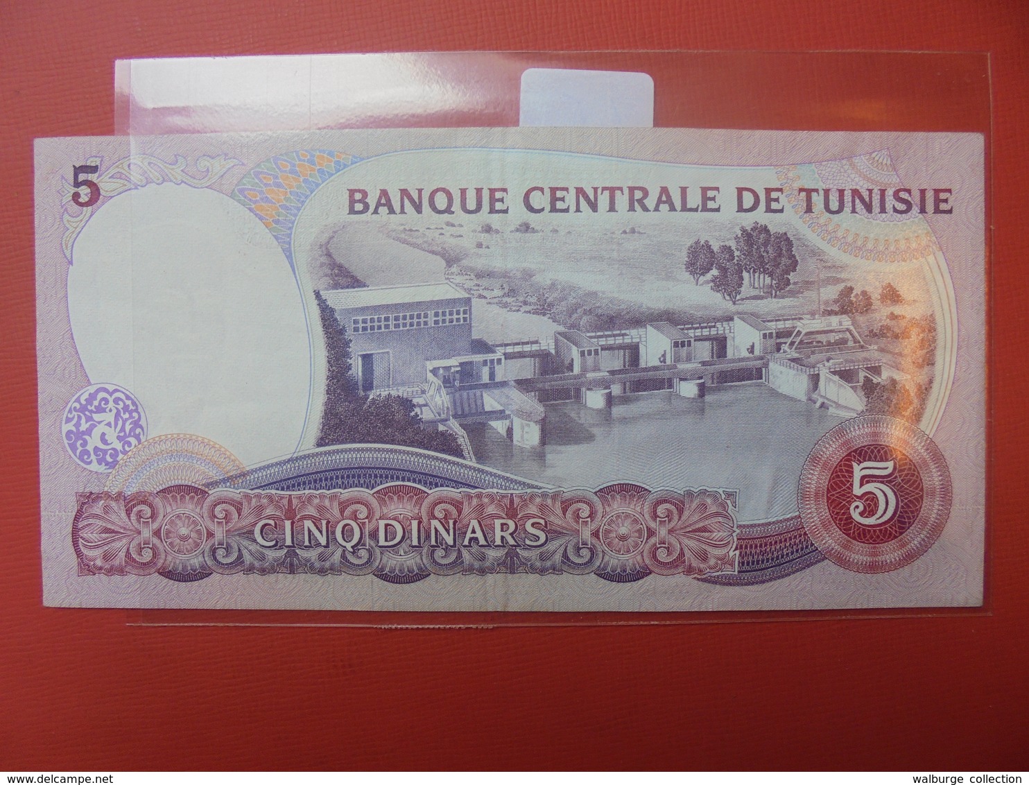 TUNISIE 5 DINARS 1983 PEU CIRCULER - Tunisie