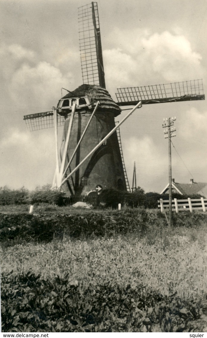 Rockanje, Korenmolen, Windmill, Real Photo - Windmolens