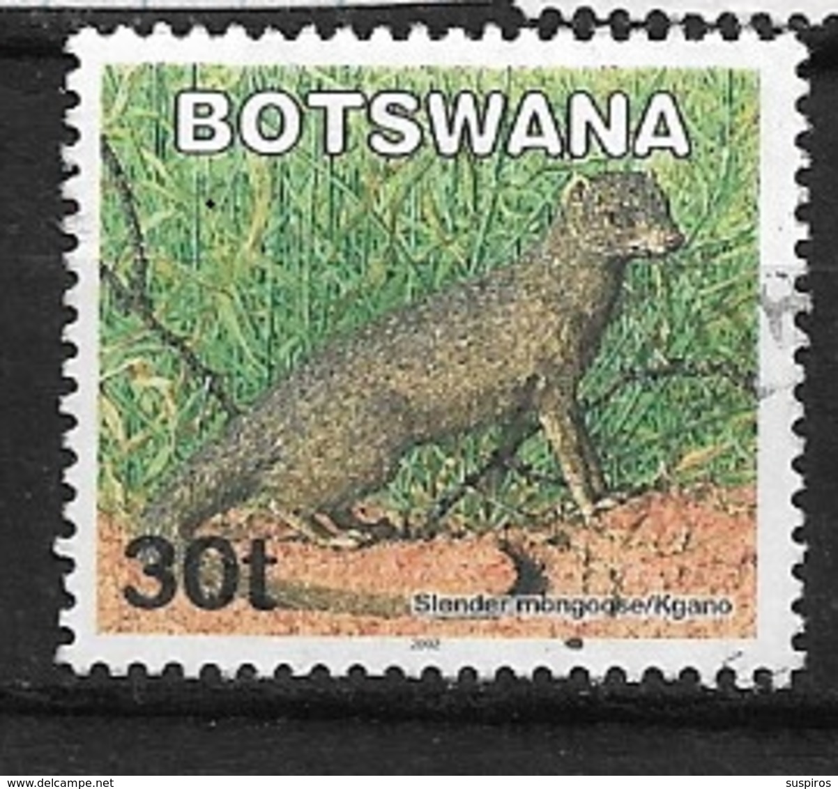 BOTSWANA  2002 Mammals     Slender Mongoose (Galerella Sanguinea)  Used - Botswana (1966-...)