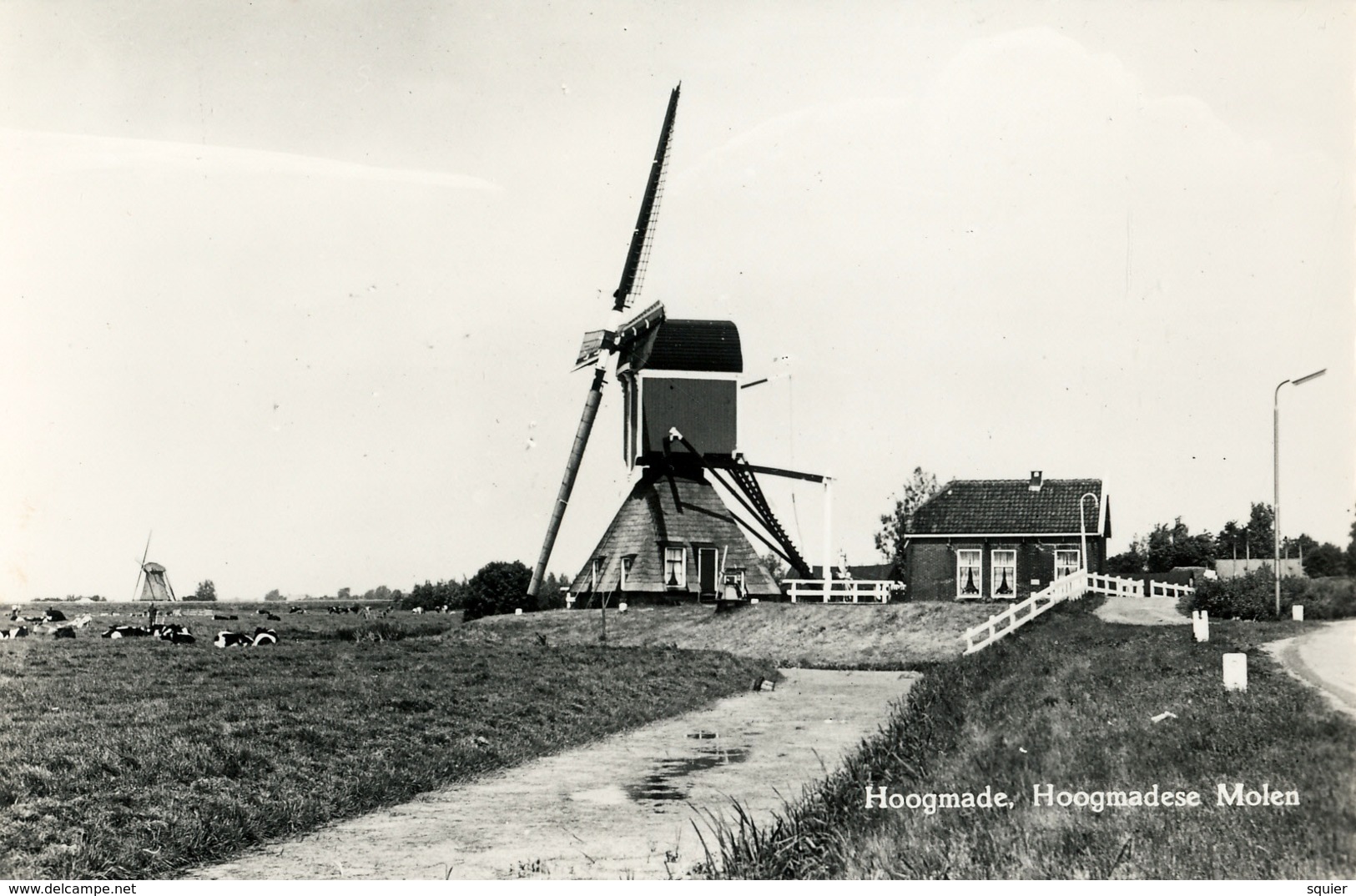 Hoogmade Hoogmadese Molen, Poldermolen, Windmill, Real Photo - Windmolens