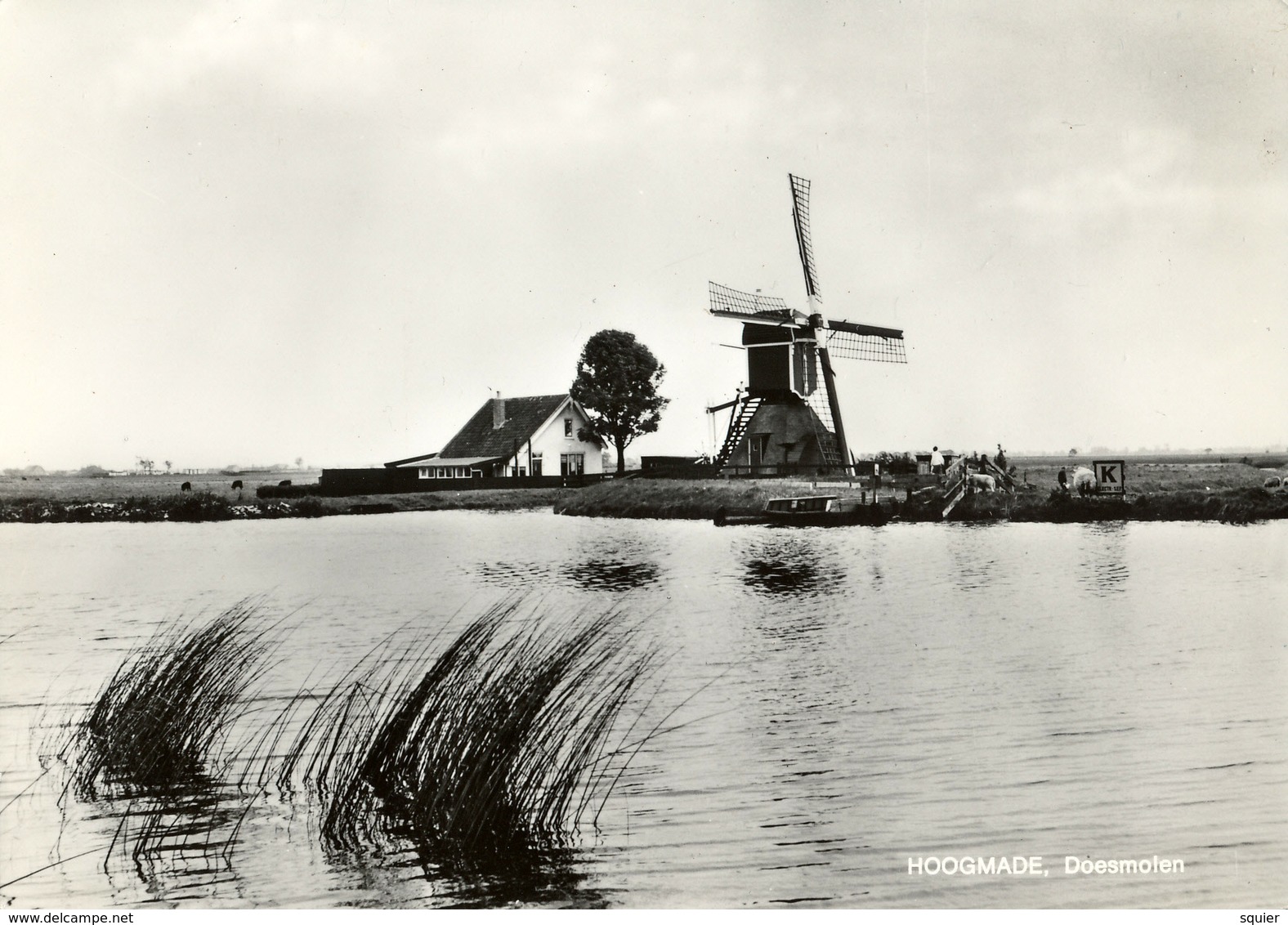 Hoogmade, Doesmolen, Poldermolen, Windmill, Real Photo H.G.A.Bank - Windmolens