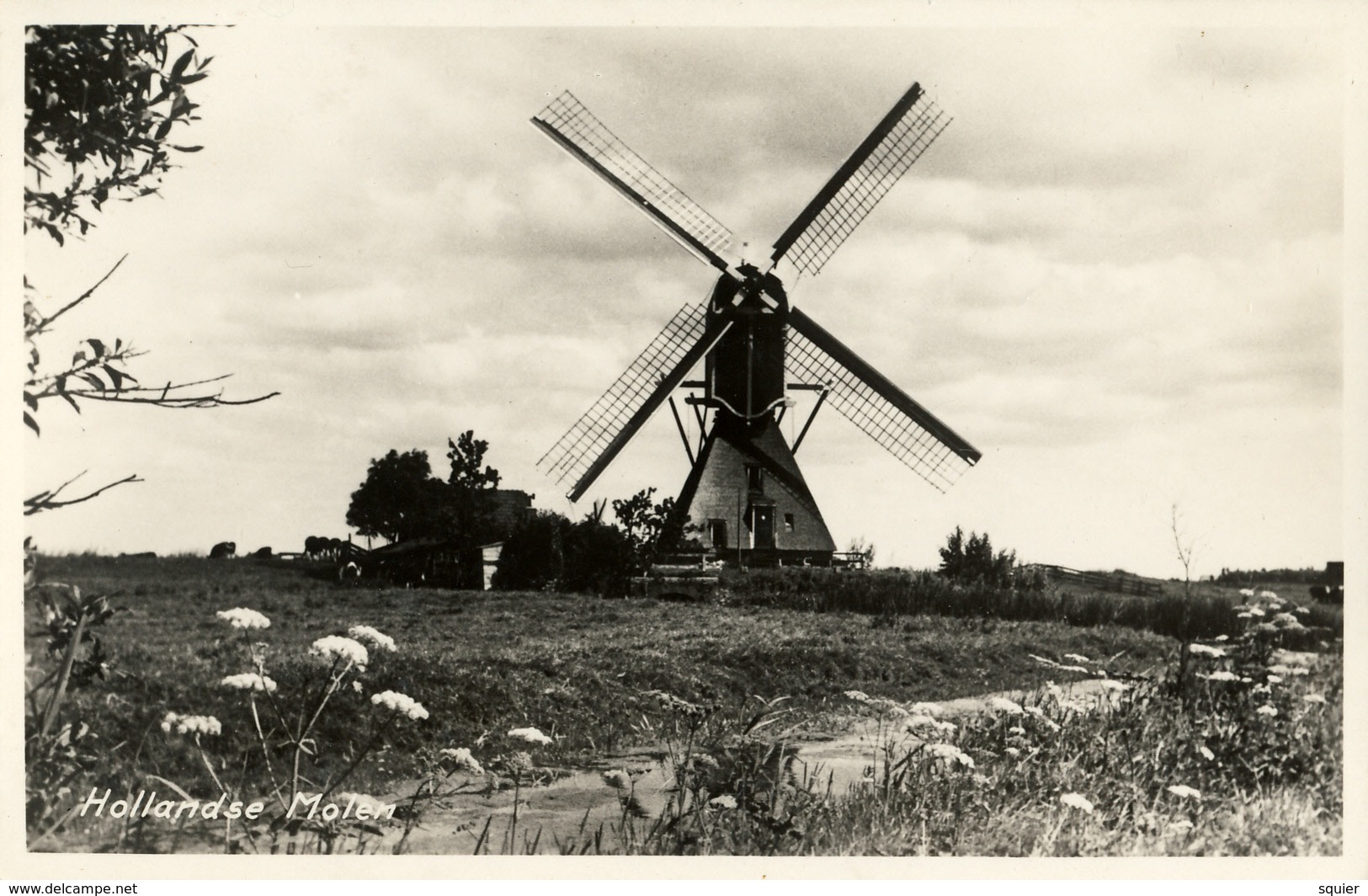 Hoogmade, Vlietmolen, Poldermolen, Windmill, Real Photo - Windmolens