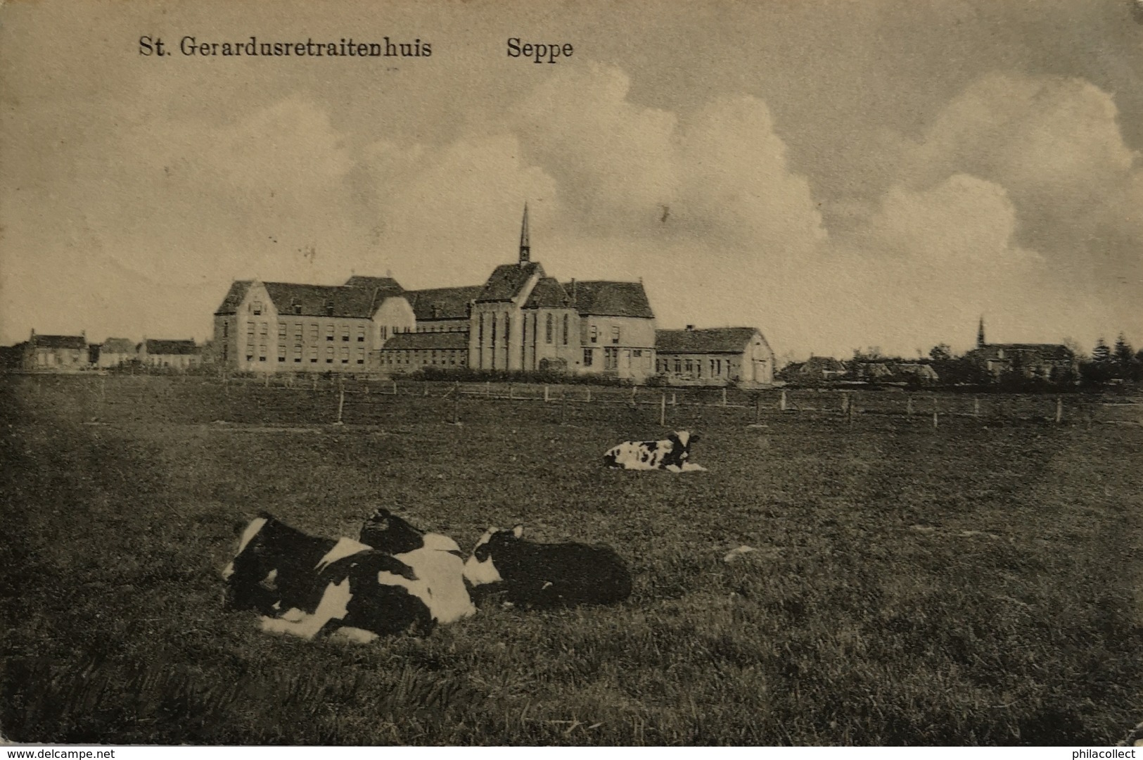 Seppe - Bosschenhoofd// St. Gerardus Retraitehuis (ander Zicht Met Koeien) 1915 - Andere & Zonder Classificatie