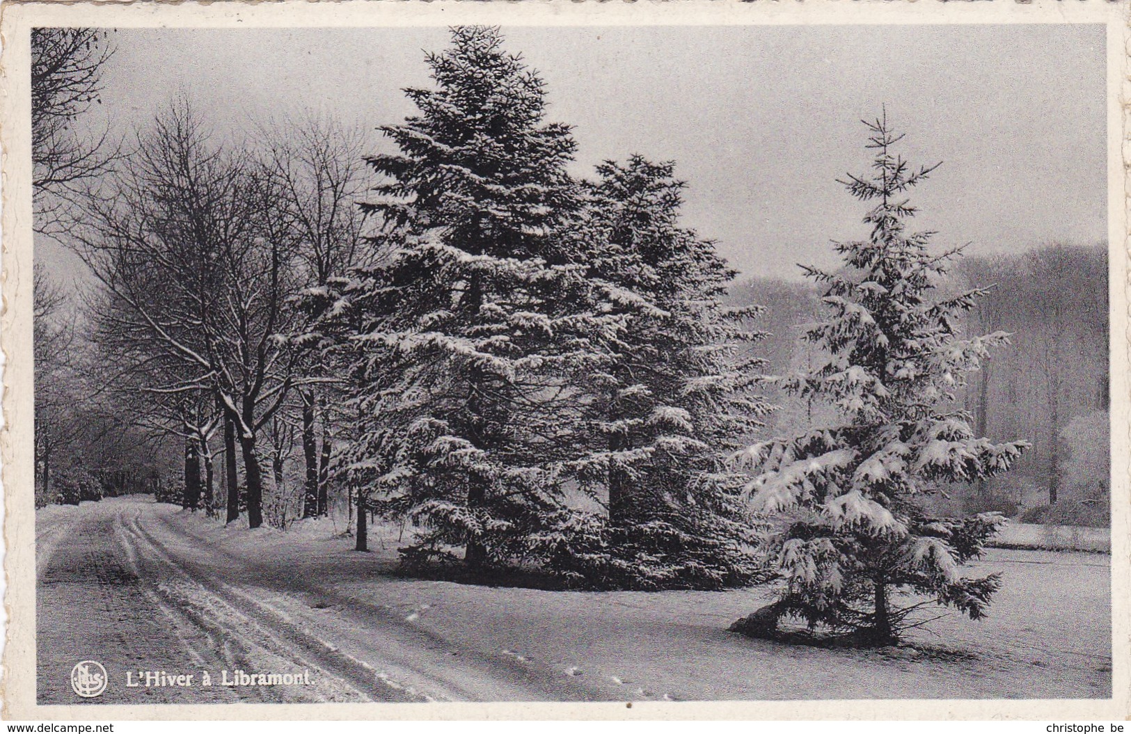 L'hiver A Libramont (pk57214) - Libramont-Chevigny