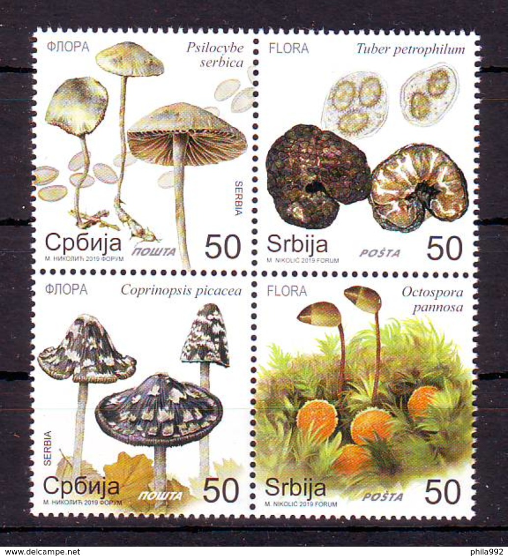 Serbia 2019 Y Flora Mushrooms Fungi Block Of 4 MNH - Serbie