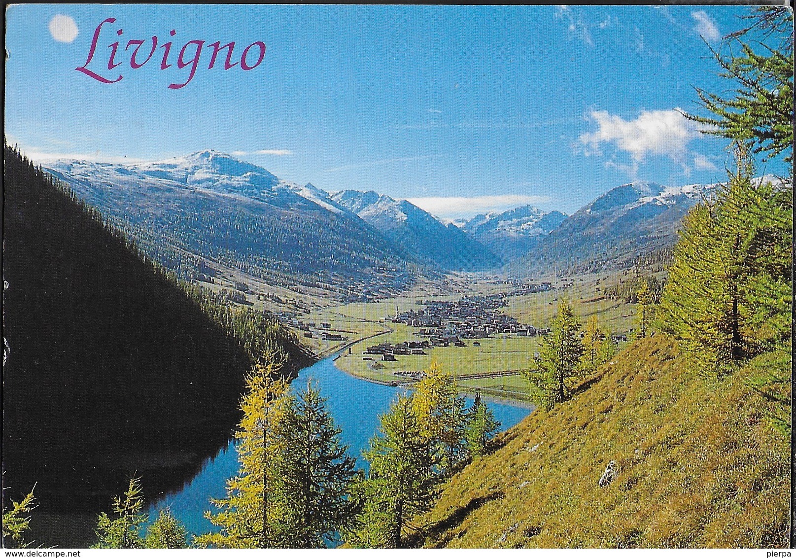 SVIZZERA - ANNULLO OSPIZIO BERNINA 06.09.1996 SU CARTOLINA LIVIGNO - Storia Postale