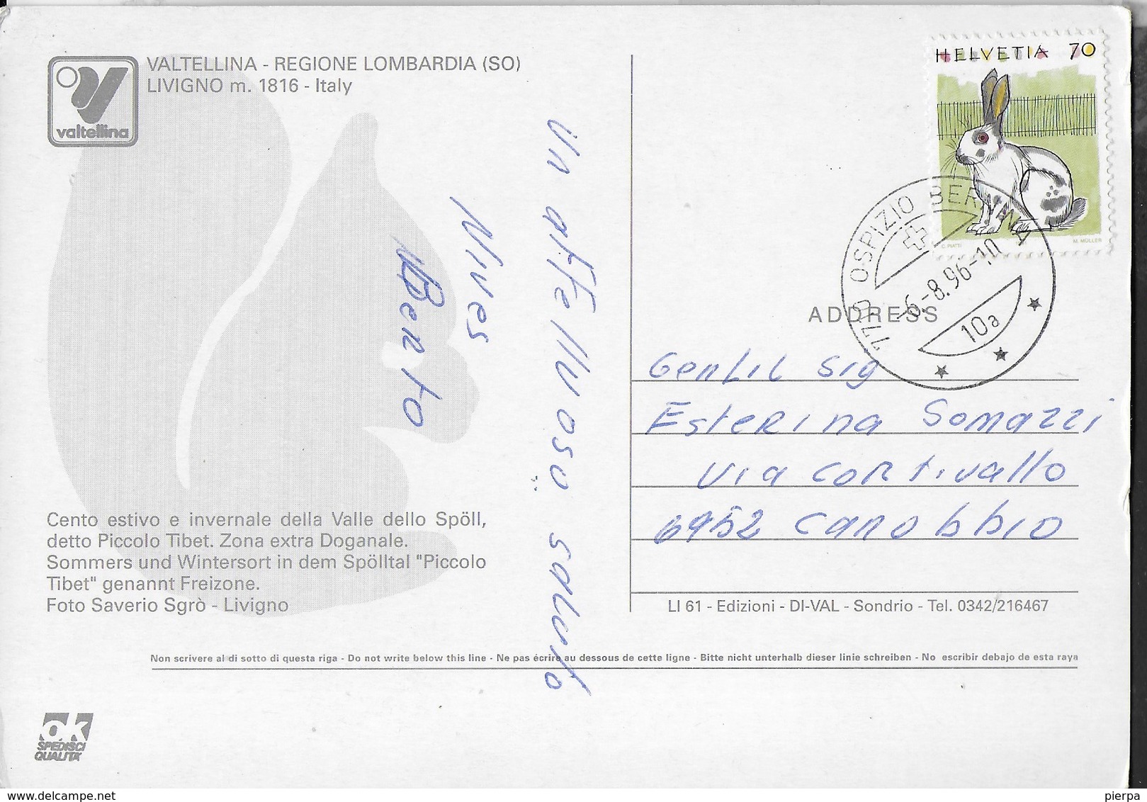 SVIZZERA - ANNULLO OSPIZIO BERNINA 06.09.1996 SU CARTOLINA LIVIGNO - Storia Postale