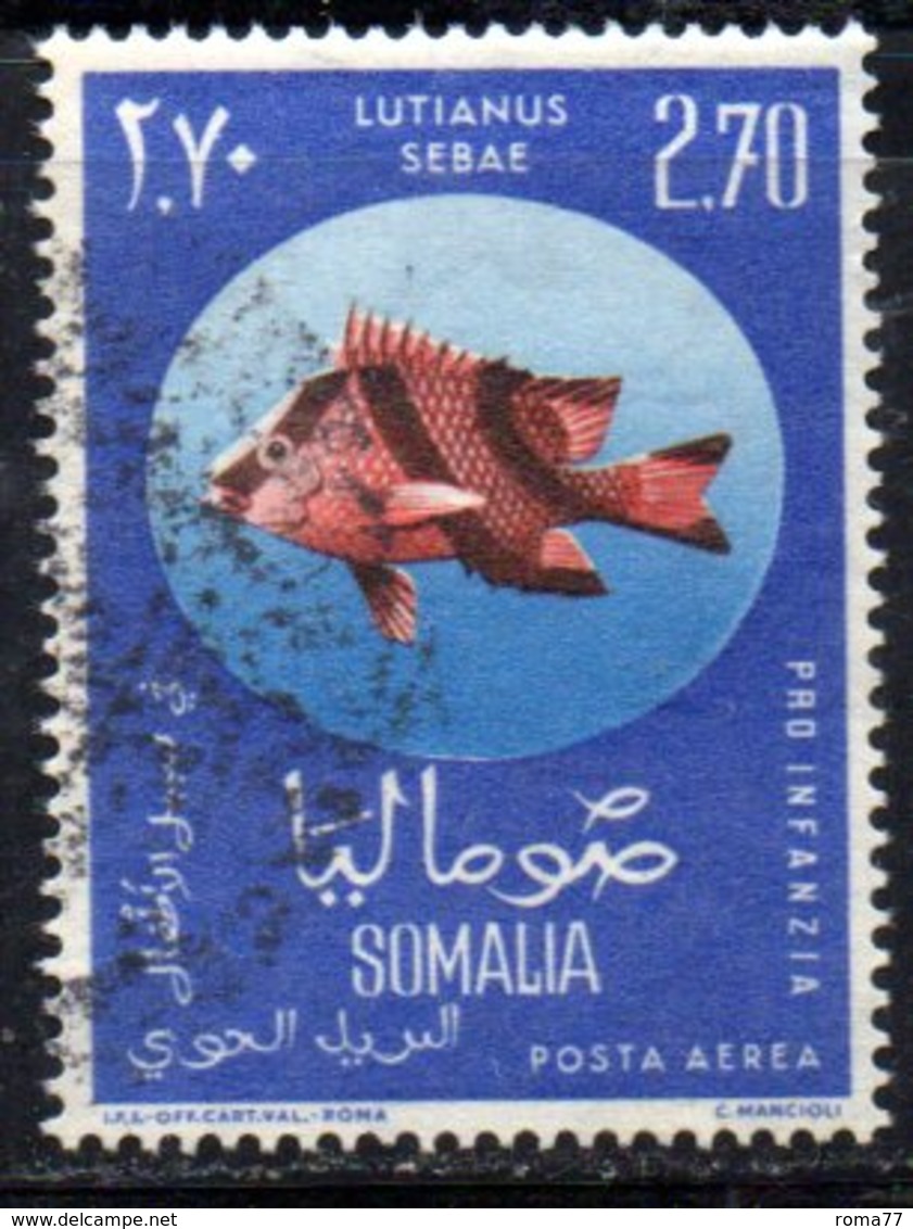 XP4312 - SOMALIA 1962 , Posta Aerea Serie Yvert N. 17  Usata .  Pesce Fish - Somalia (1960-...)