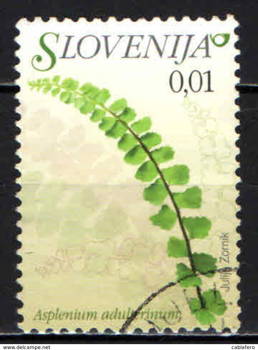 SLOVENIA - 2007 - Flora: Asplenium Adulterinum - USATO - Slovenia