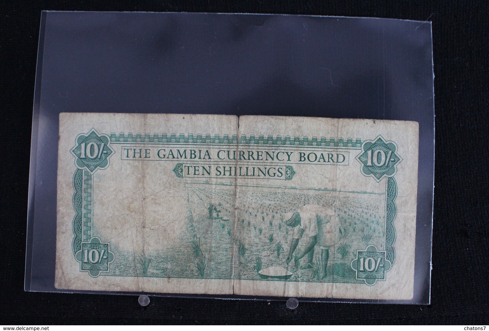 M-An / Billet  - The Gambia Currency Board - Ten Shilligs ( 10/- ) /  Année ? - Gambie