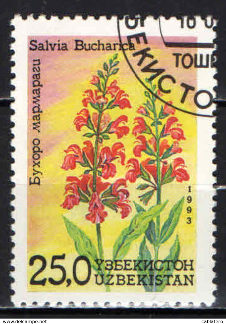 UZBEKISTAN - 1993 - SALVIA BUCHARICA - USATO - Uzbekistan