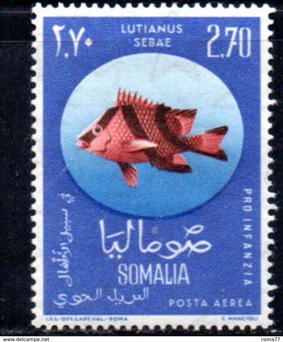 XP4322 - SOMALIA 1962 , Posta Aerea Serie Yvert N. 17 ***  Pesci Fish - Somalia (1960-...)