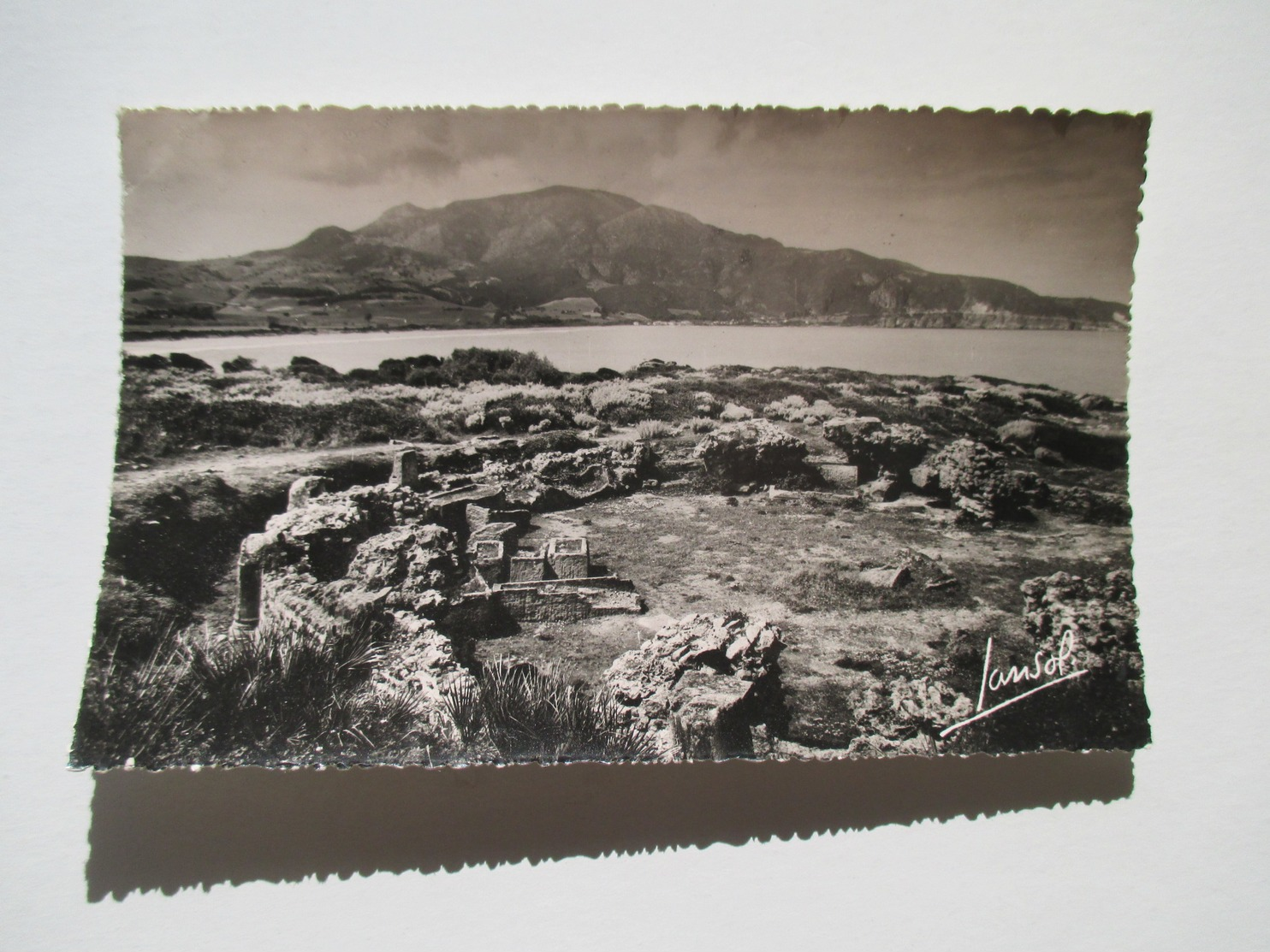 CPSM Algérie Tipasa  Grand Monument Funéraire De La Nécropole Occidentale Et Le Chénoua 1950 - Autres & Non Classés