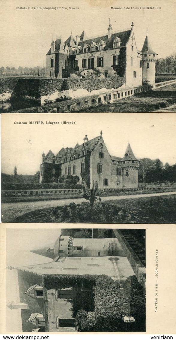 Lot De 3 CPA - LEOGNAN - Château OLIVIER - Autres & Non Classés