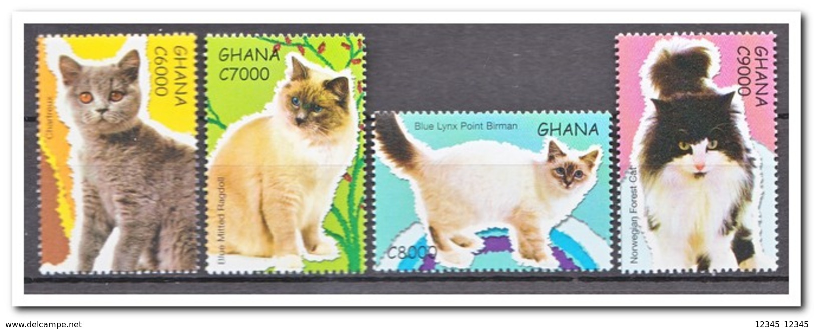 Ghana 2007, Postfris MNH, Cats - Ghana (1957-...)