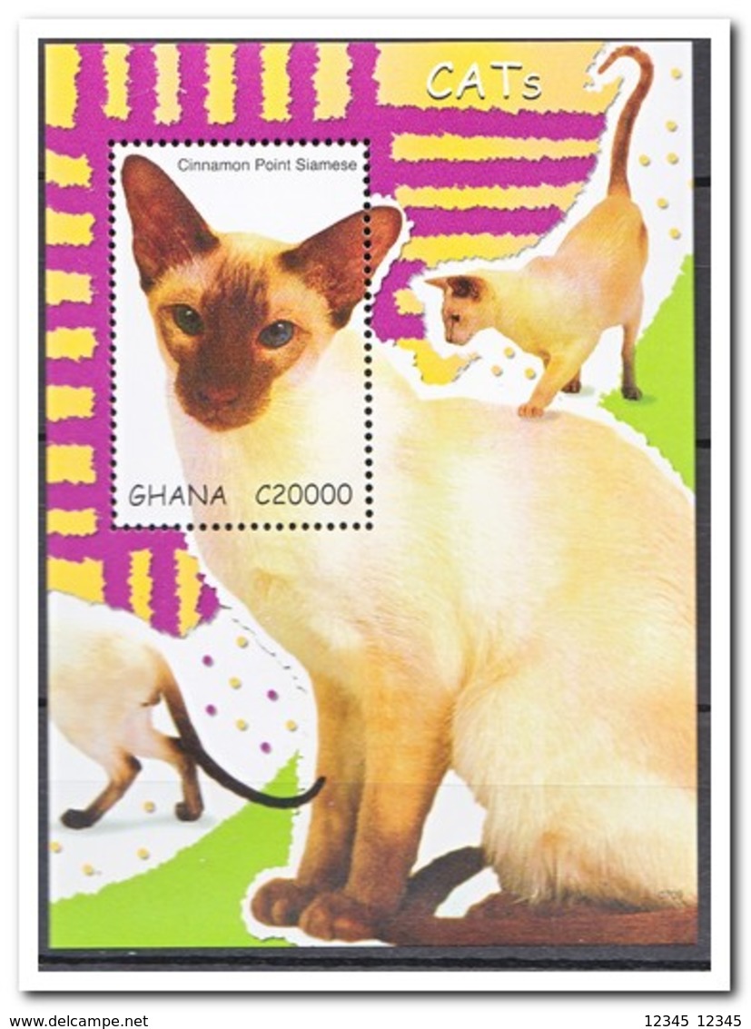 Ghana 2007, Postfris MNH, Cats - Ghana (1957-...)