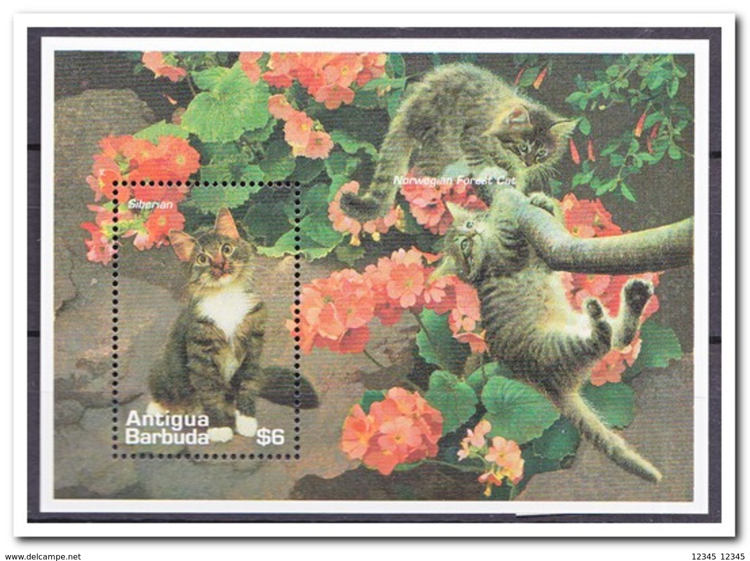 Antigua & Barbuda 1995, Postfris MNH, Cats - Antigua En Barbuda (1981-...)