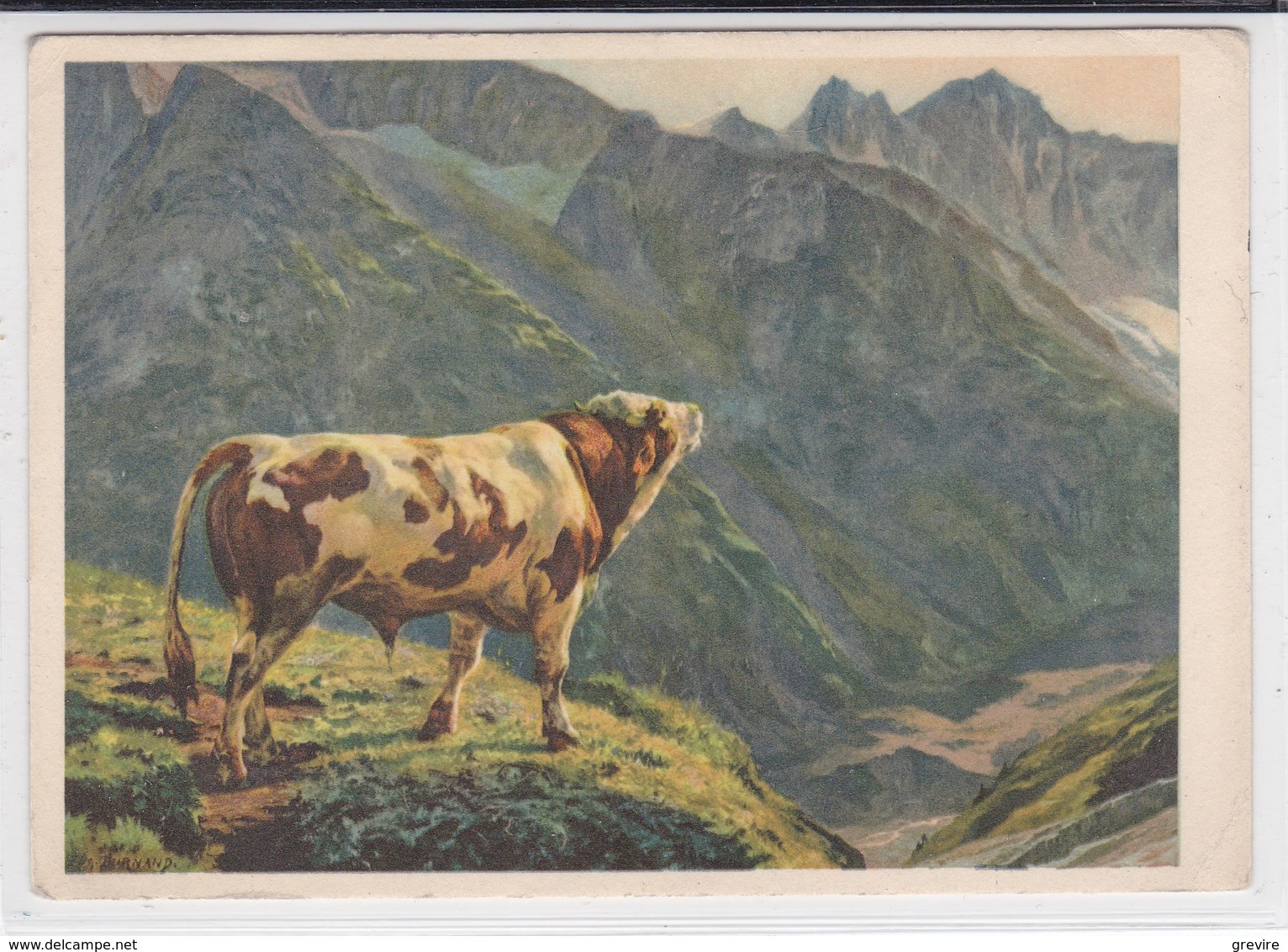 Eugène Burnand : Taureau Dans Les Alpes - Schilderijen