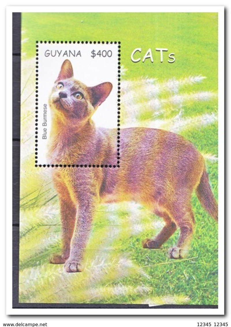 Guyana 2007, Postfris MNH, Cats - Guyana (1966-...)