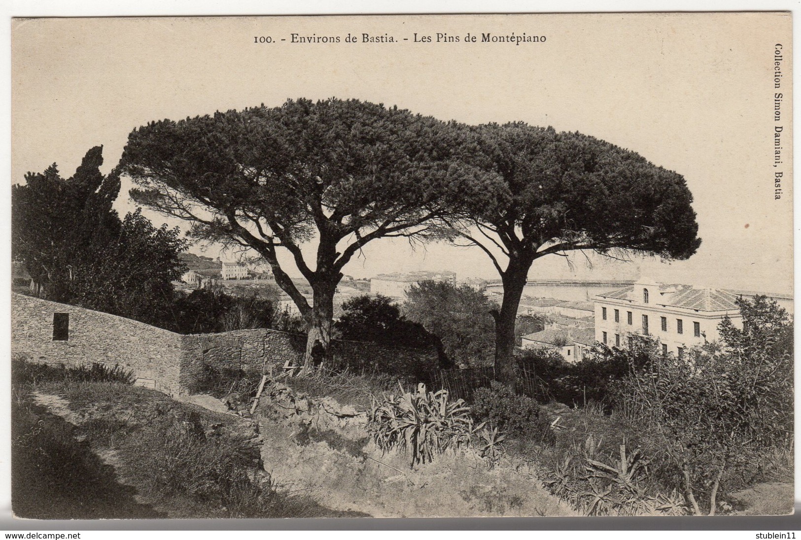 Corse. Bastia. Les Pins De Montépiano - Bastia