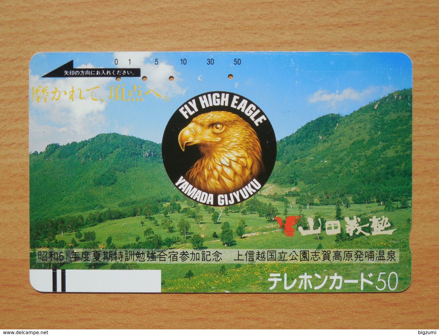 Japon Japan Free Front Bar, Balken Phonecard / 110-9508 / Eagle - Águilas & Aves De Presa