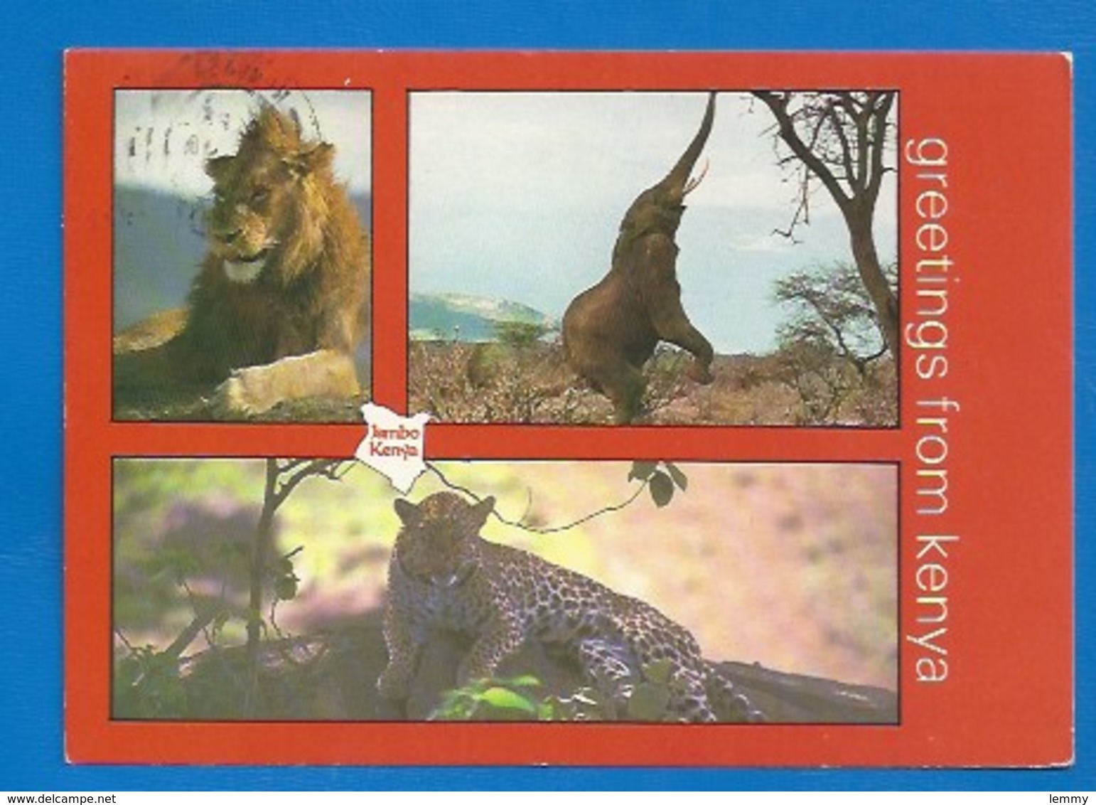 ANIMAUX - KENIA -  LION - ELEPHANT TROMPÉTANT...- LEOPARD - Lions
