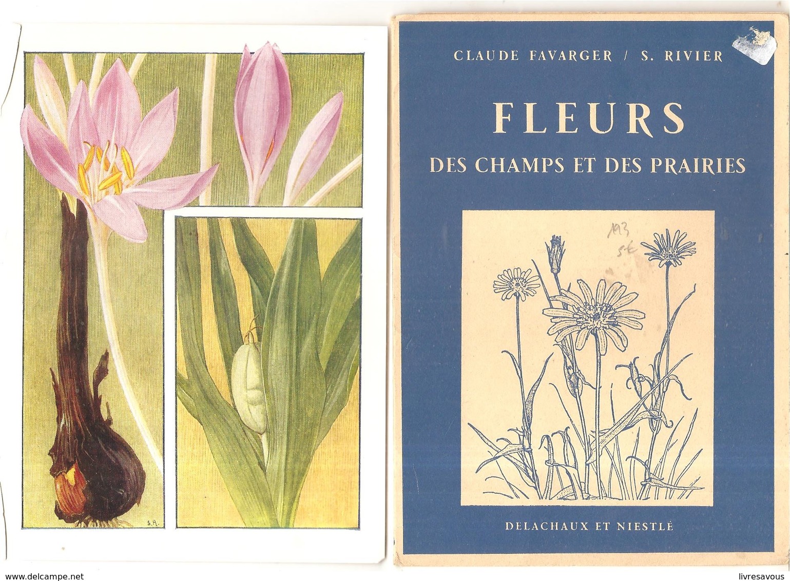 Chromos Fleurs Des Champs Et Des Prairies Par Claude Farger Et S. Rivier Pochette N°4 CHROMOS DE 1 à 12 - Albums & Catalogues