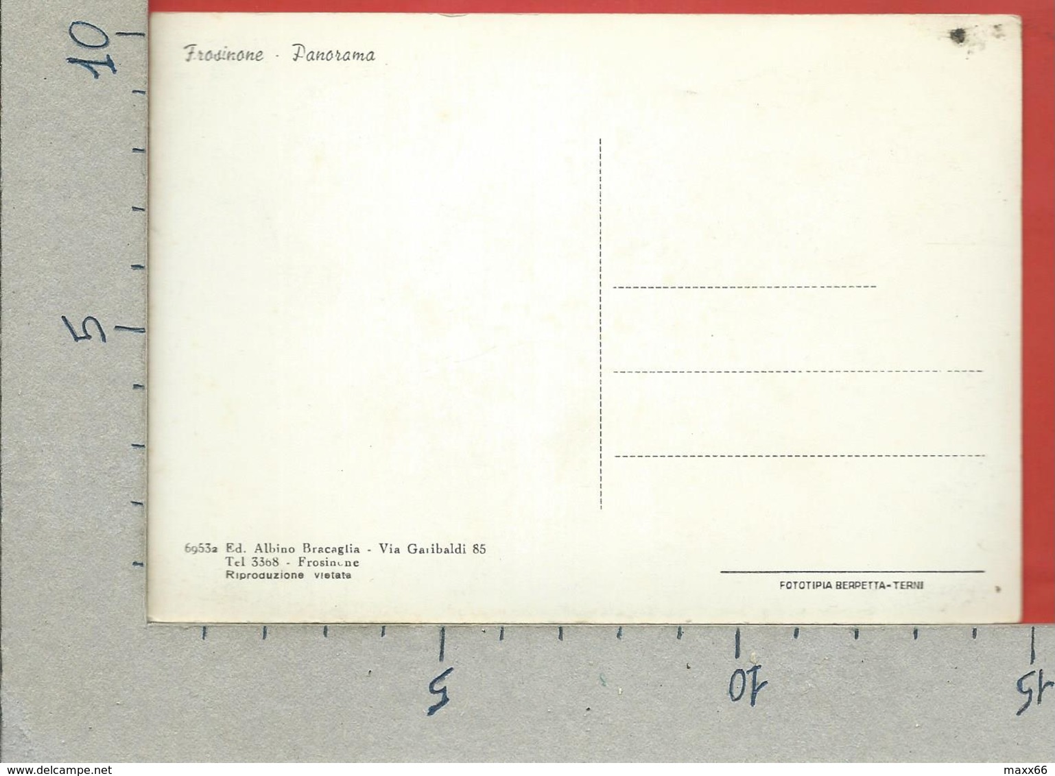CARTOLINA NV ITALIA - FROSINONE - Panorama - Ed. Albino Bracaglia - 10 X 15 - Frosinone