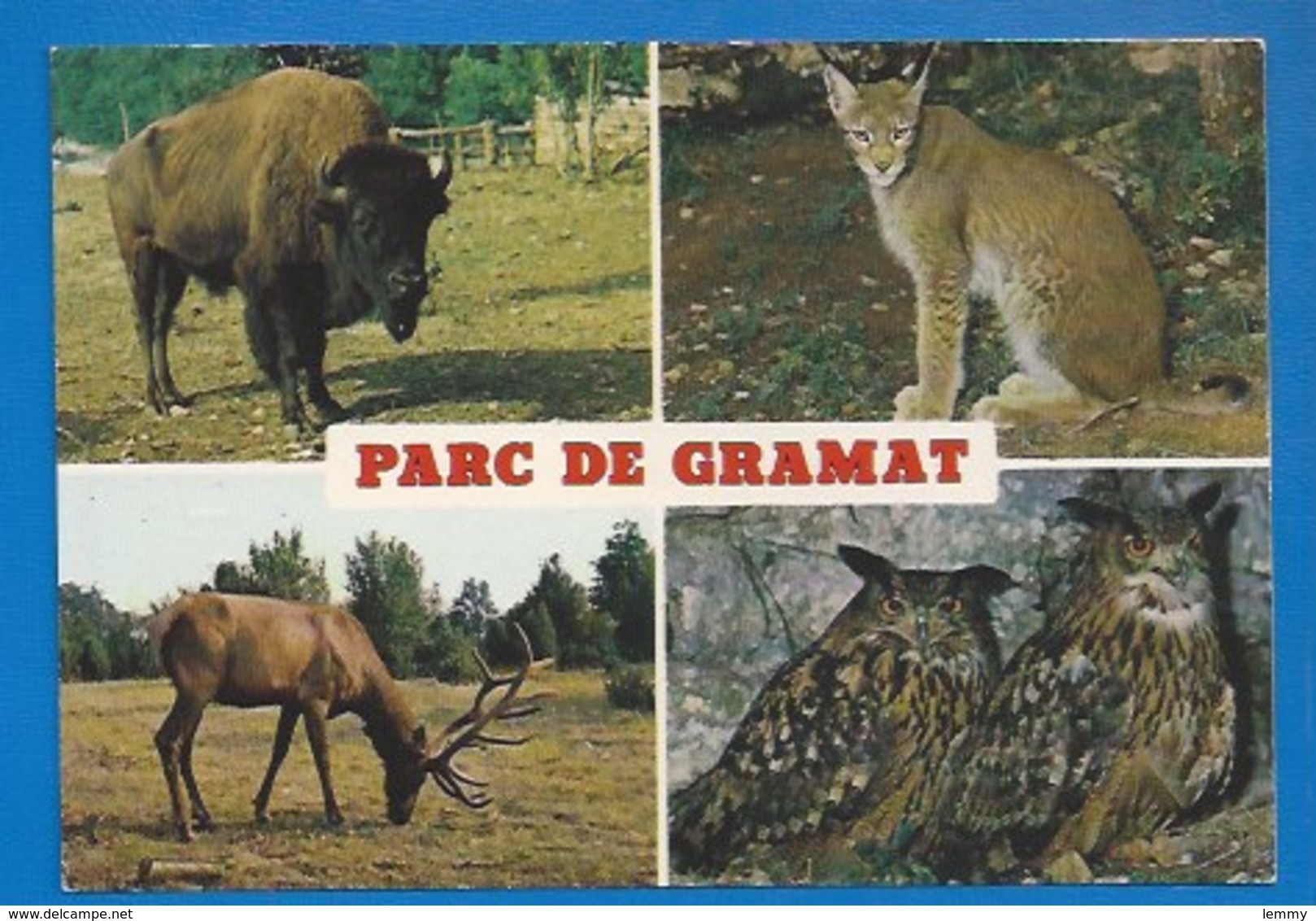 ANIMAUX - 46 - ZOO - PARC DE GRAMAT- BISON -LYNX - WAPITI - GRANDS-DUCS - Gramat